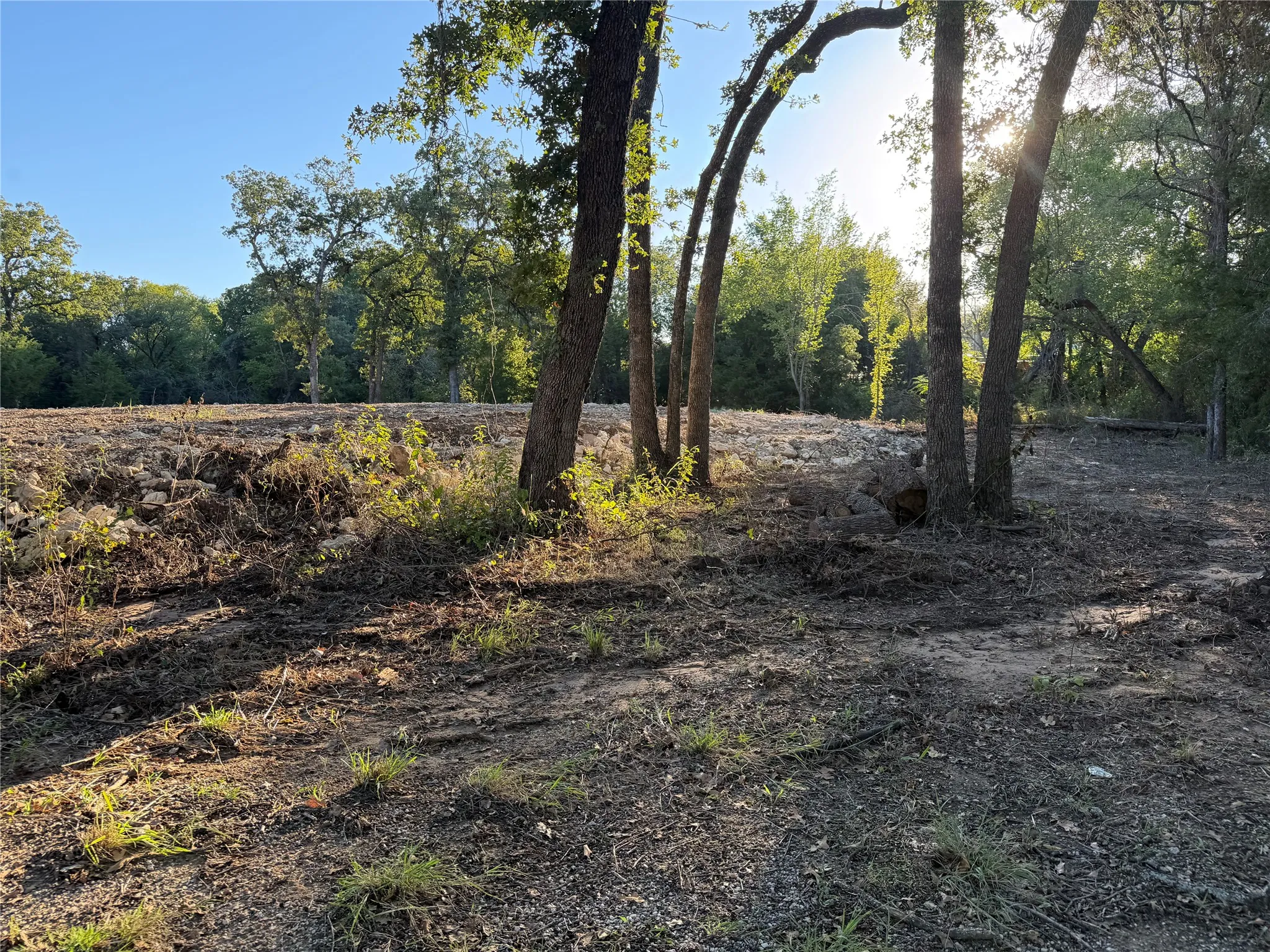Improved Land For Sale in Johnson County , 100 Shady Brook Court, Joshua, Texas 76058, 0, 0, Garage spaces, 0 Sqft, built in 0, mls#21397433, Real Estate Agent in Joshua, Homes For Sale in Johnson county, Homes For Sale in Joshua, Realtor in Joshua Texas, Real Estate Brokerage Independent Realty Texas, Luminita Cordes Realtor