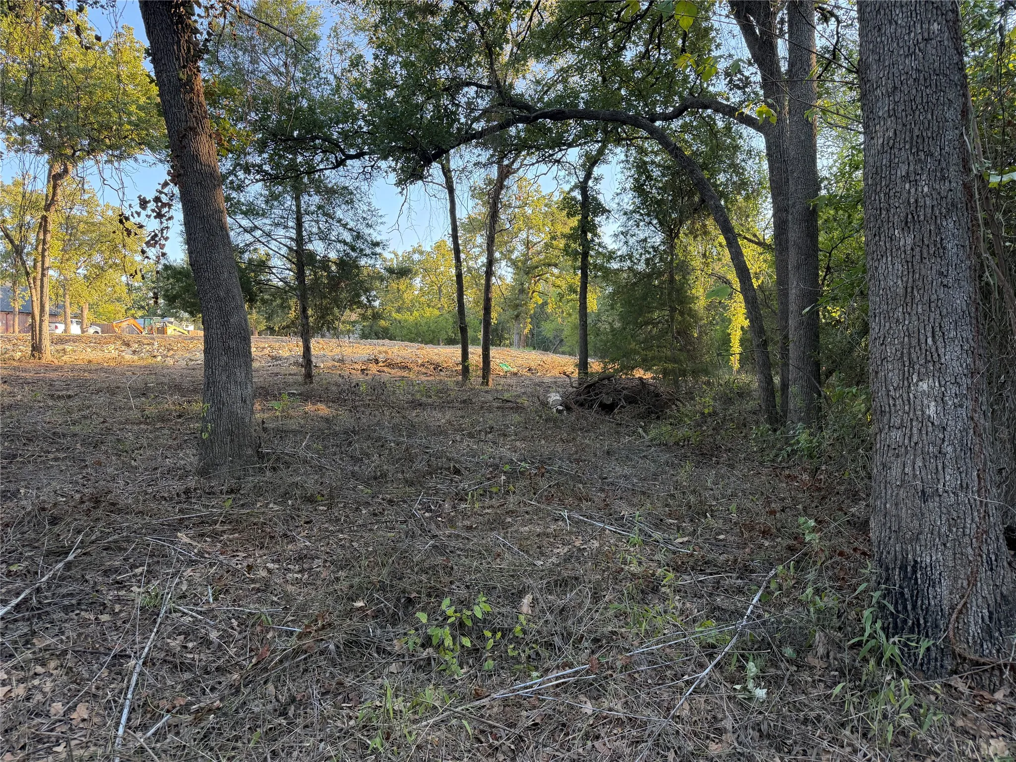 Improved Land For Sale in Johnson County , 100 Shady Brook Court, Joshua, Texas 76058, 0, 0, Garage spaces, 0 Sqft, built in 0, mls#21397433, Real Estate Agent in Joshua, Homes For Sale in Johnson county, Homes For Sale in Joshua, Realtor in Joshua Texas, Real Estate Brokerage Independent Realty Texas, Luminita Cordes Realtor