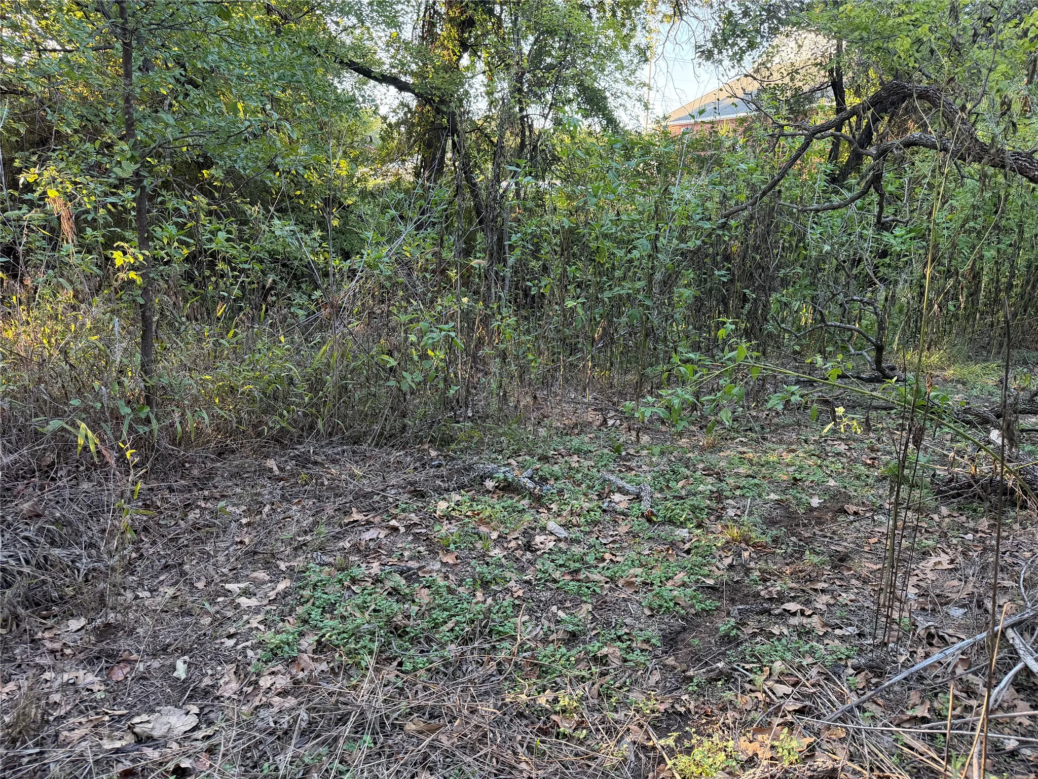 Improved Land For Sale in Johnson County , 100 Shady Brook Court, Joshua, Texas 76058, 0, 0, Garage spaces, 0 Sqft, built in 0, mls#21397433, Real Estate Agent in Joshua, Homes For Sale in Johnson county, Homes For Sale in Joshua, Realtor in Joshua Texas, Real Estate Brokerage Independent Realty Texas, Luminita Cordes Realtor
