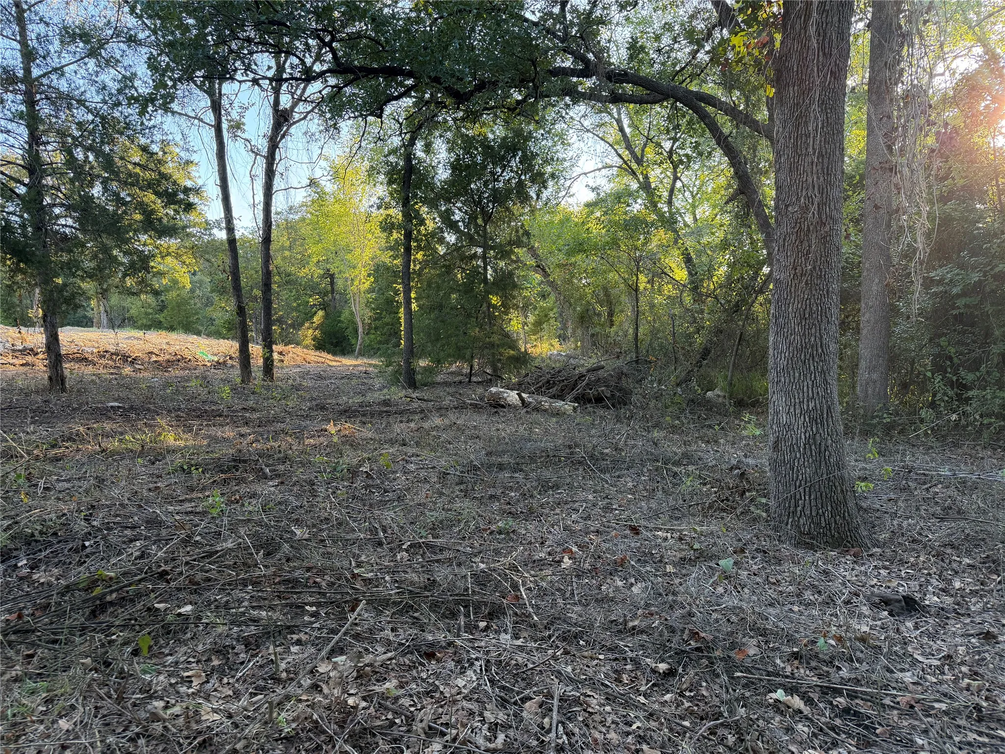 Improved Land For Sale in Johnson County , 100 Shady Brook Court, Joshua, Texas 76058, 0, 0, Garage spaces, 0 Sqft, built in 0, mls#21397433, Real Estate Agent in Joshua, Homes For Sale in Johnson county, Homes For Sale in Joshua, Realtor in Joshua Texas, Real Estate Brokerage Independent Realty Texas, Luminita Cordes Realtor