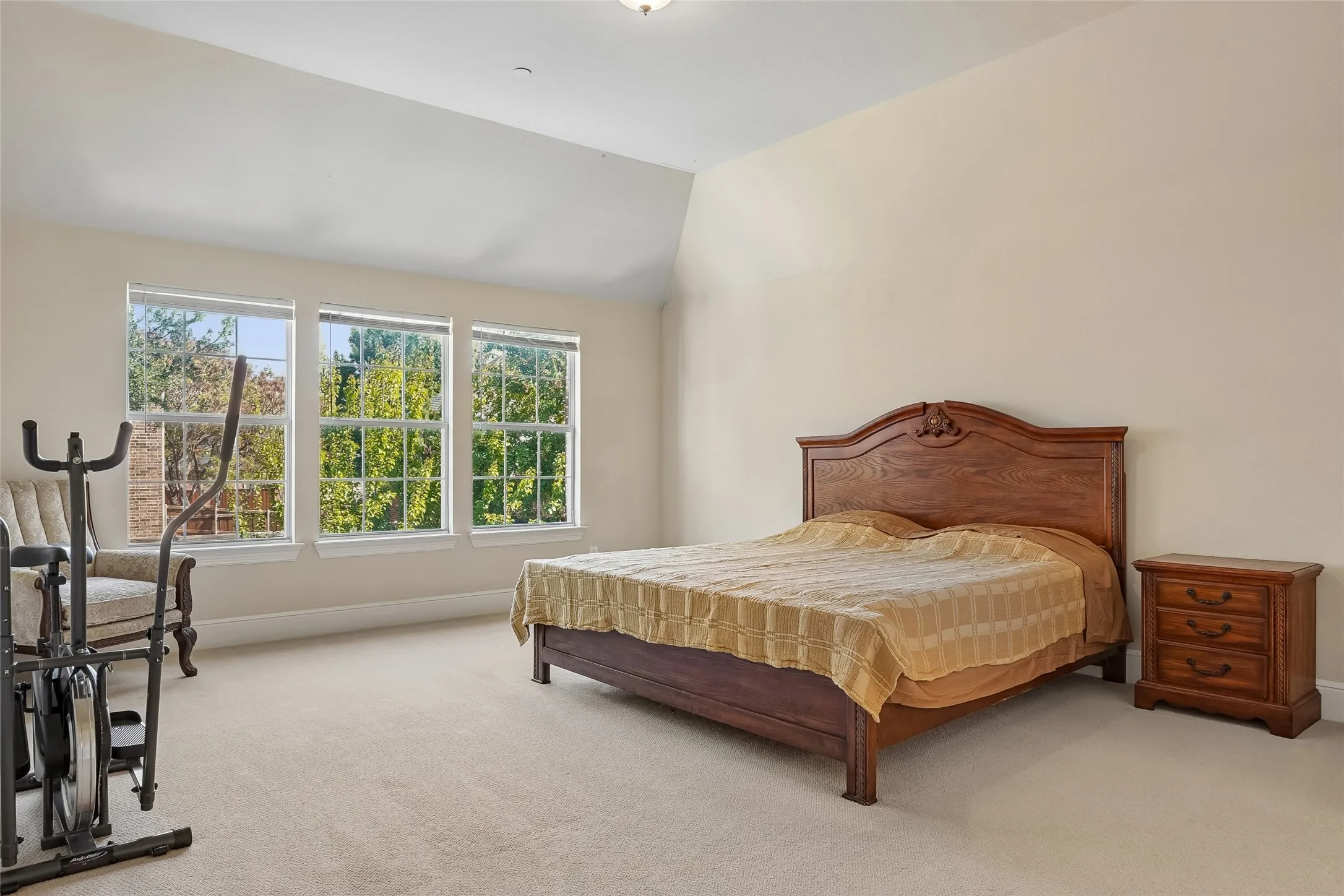 Triple window configuration, vaulted ceiling, and neutral carpeting