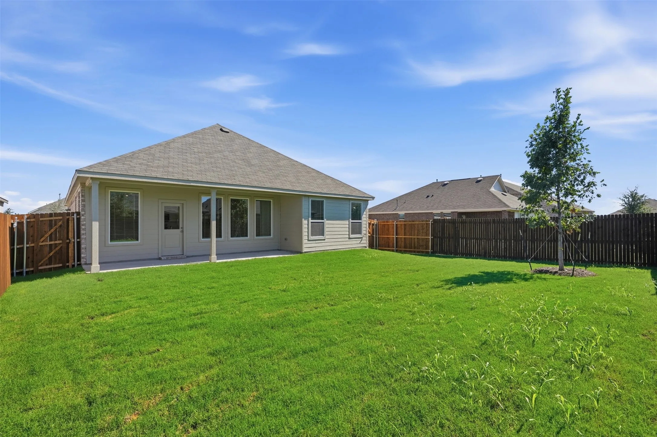 Expansive grassy yard with a young tree, full privacy fencing, and a covered back patio with multiple windows