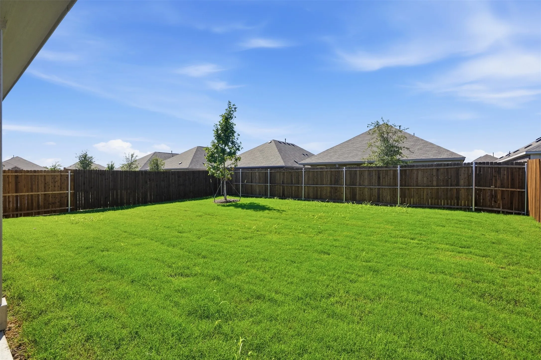Expansive fenced backyard featuring a manicured lawn and a young tree