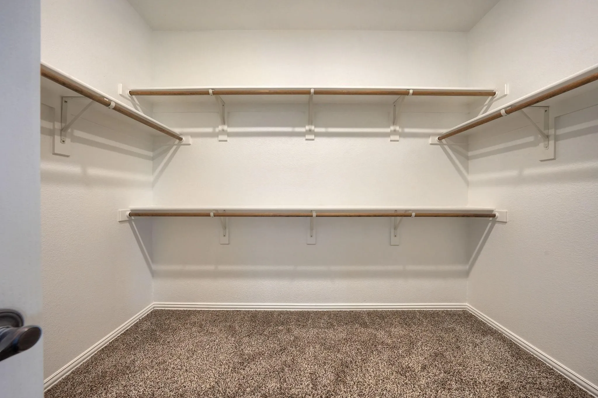 Walk-in closet featuring carpet flooring and multiple storage shelves with hanging rods