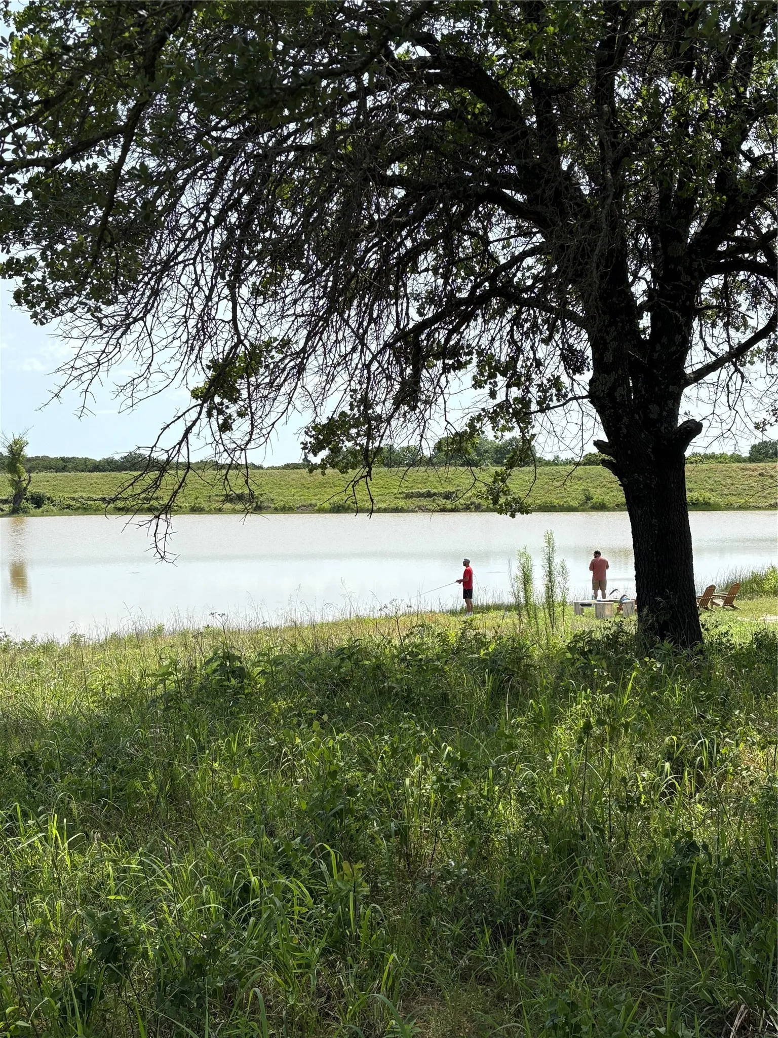 Improved Land For Sale in Parker County , 293 Zebrastone Way, Poolville, Texas 76487, 0, 0, Garage spaces, 0 Sqft, built in 0, mls#21409089, Real Estate Agent in Poolville, Homes For Sale in Parker county, Homes For Sale in Poolville, Realtor in Poolville Texas, Real Estate Brokerage Independent Realty Texas, Luminita Cordes Realtor