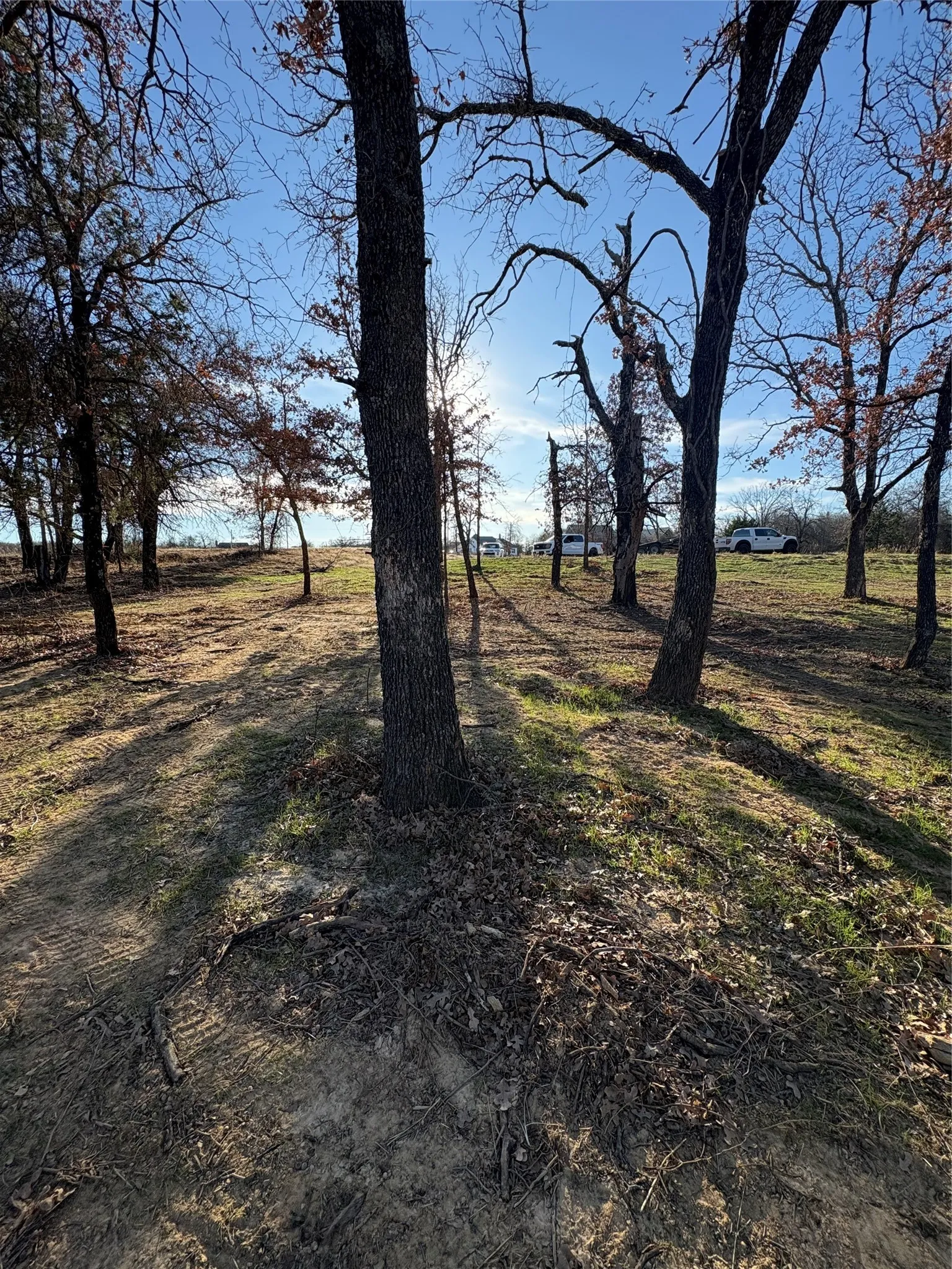 Improved Land For Sale in Parker County , 293 Zebrastone Way, Poolville, Texas 76487, 0, 0, Garage spaces, 0 Sqft, built in 0, mls#21409089, Real Estate Agent in Poolville, Homes For Sale in Parker county, Homes For Sale in Poolville, Realtor in Poolville Texas, Real Estate Brokerage Independent Realty Texas, Luminita Cordes Realtor