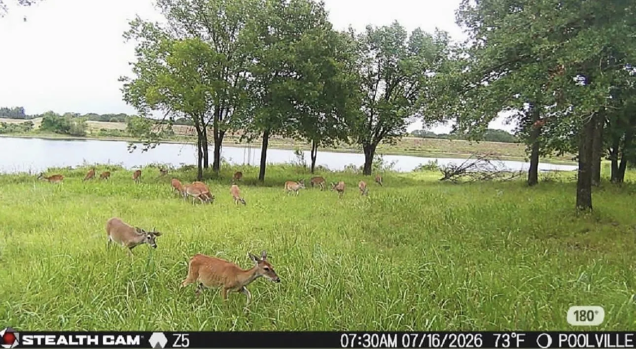 Improved Land For Sale in Parker County , 297 Zebrastone Way, Poolville, Texas 76487, 0, 0, Garage spaces, 0 Sqft, built in 0, mls#21409092, Real Estate Agent in Poolville, Homes For Sale in Parker county, Homes For Sale in Poolville, Realtor in Poolville Texas, Real Estate Brokerage Independent Realty Texas, Luminita Cordes Realtor