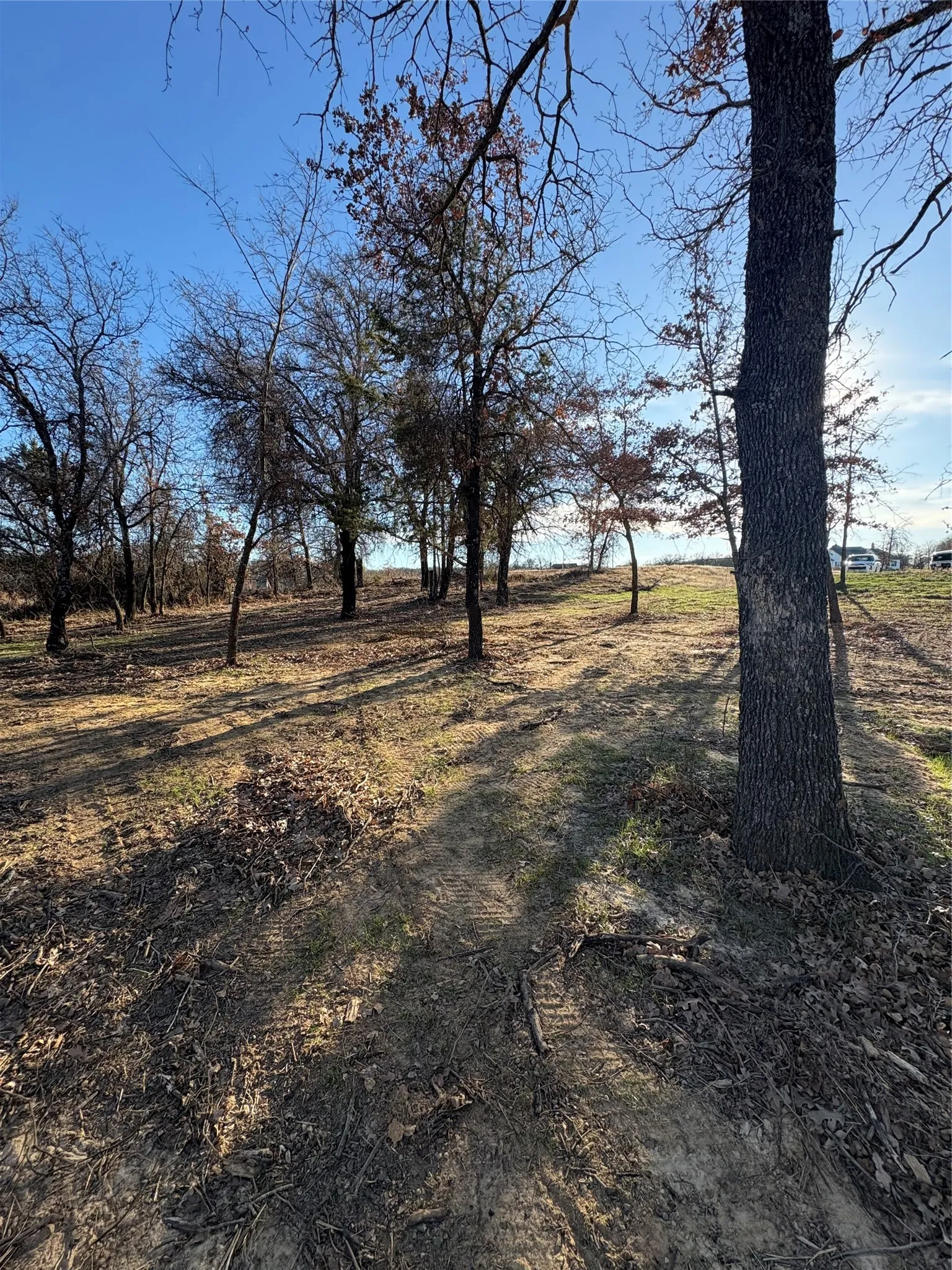 Improved Land For Sale in Parker County , 297 Zebrastone Way, Poolville, Texas 76487, 0, 0, Garage spaces, 0 Sqft, built in 0, mls#21409092, Real Estate Agent in Poolville, Homes For Sale in Parker county, Homes For Sale in Poolville, Realtor in Poolville Texas, Real Estate Brokerage Independent Realty Texas, Luminita Cordes Realtor