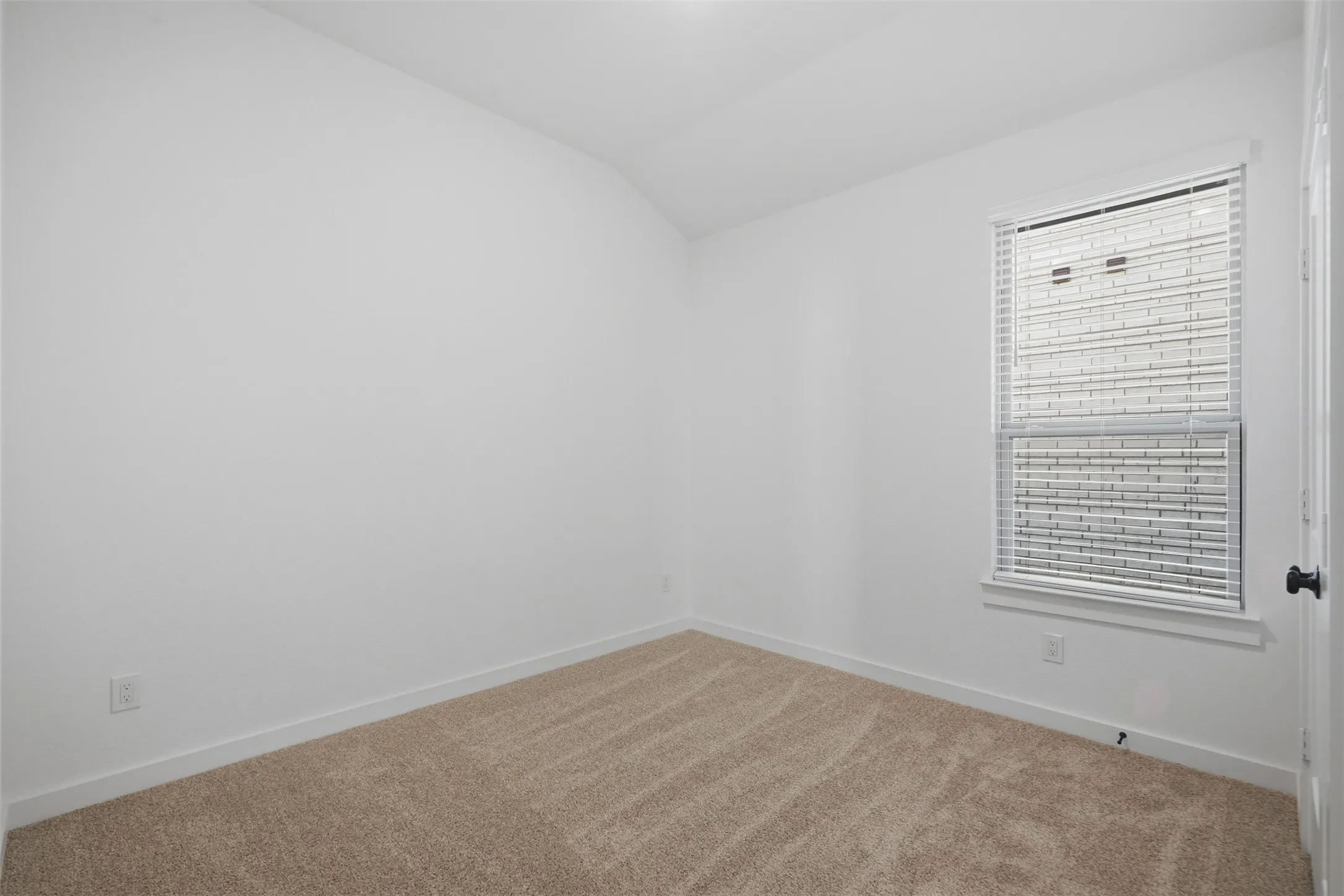 Neutral wall color and carpeted flooring