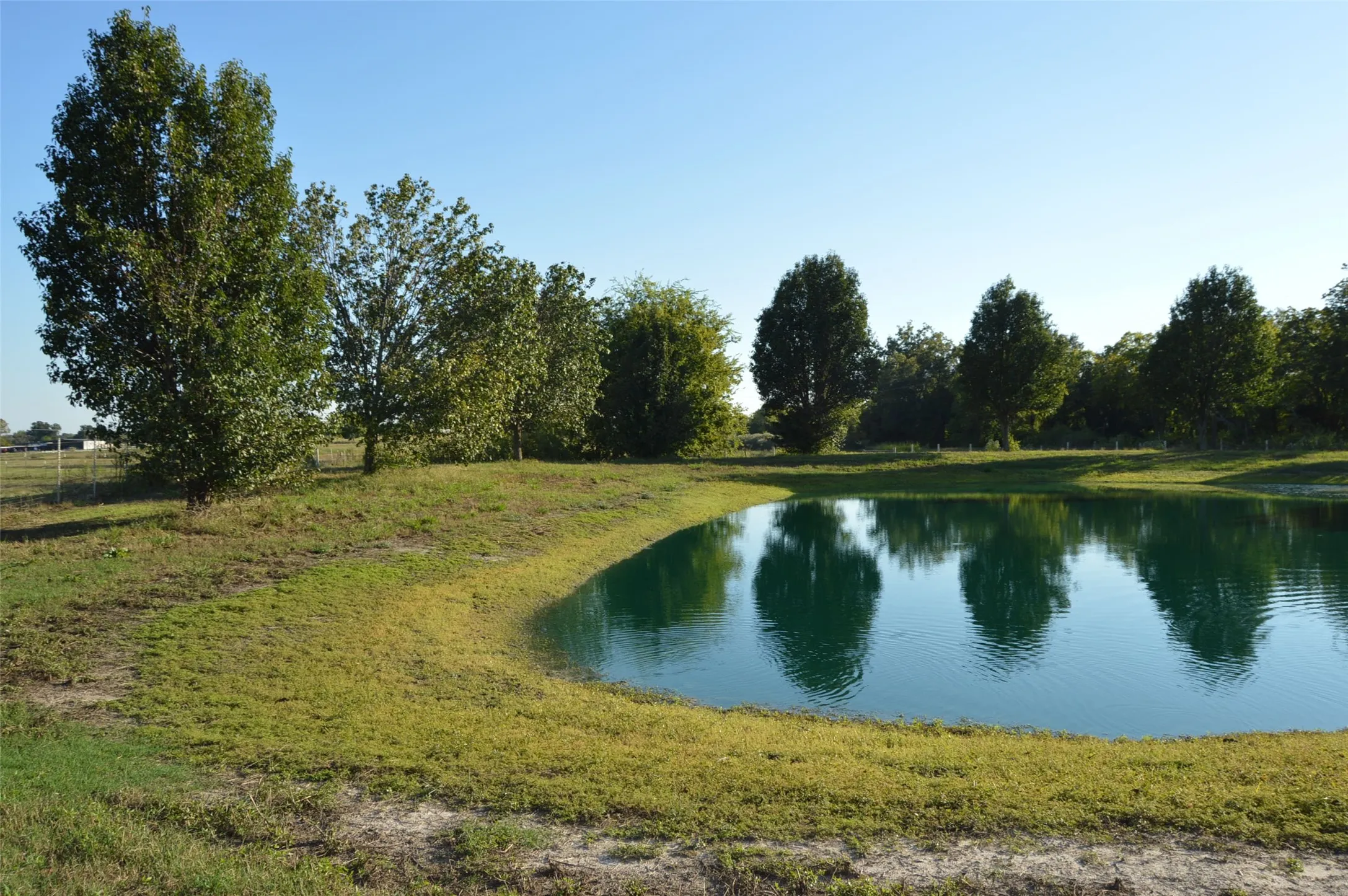 Pond view