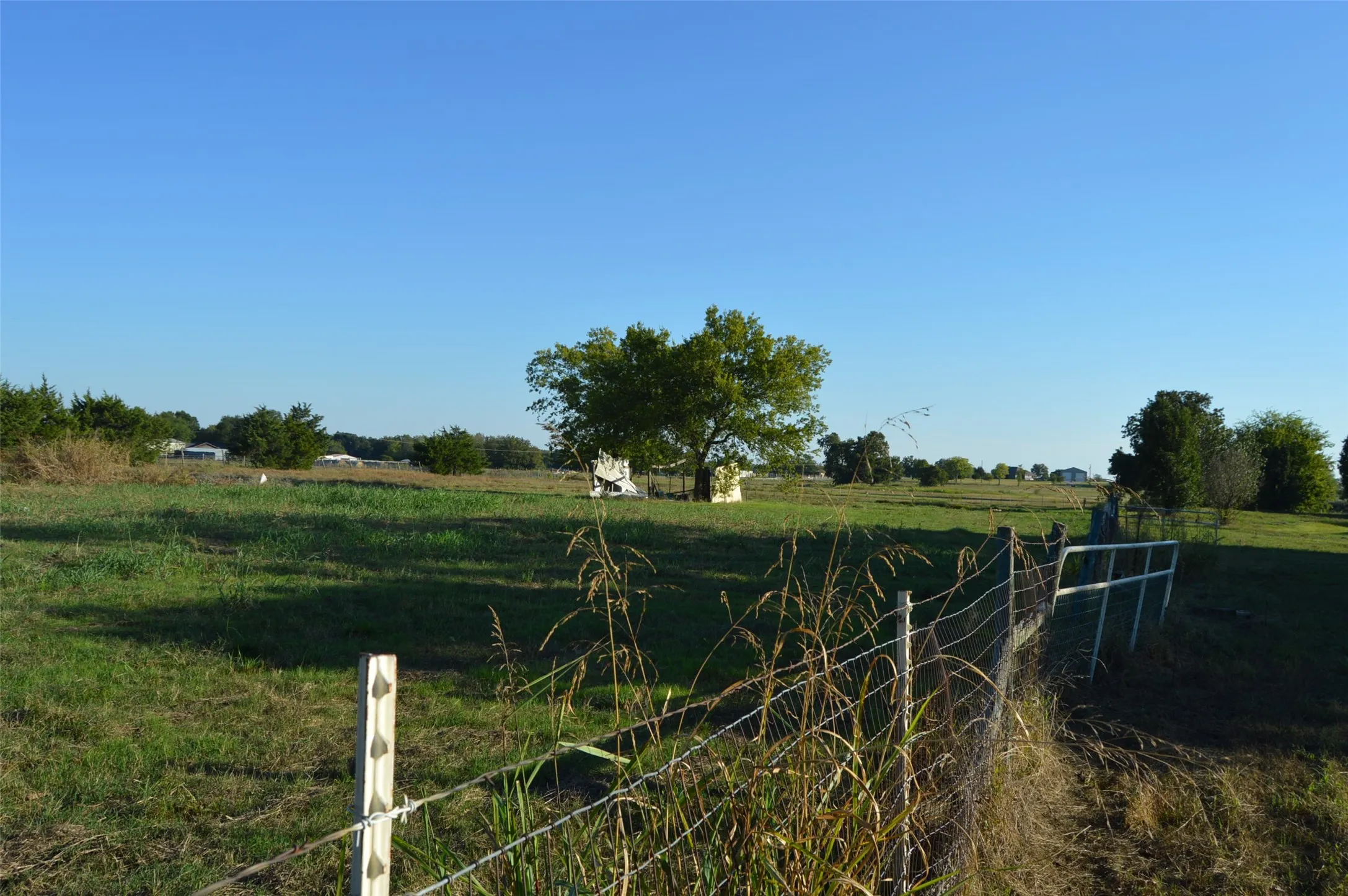 Pasture, cross fenced