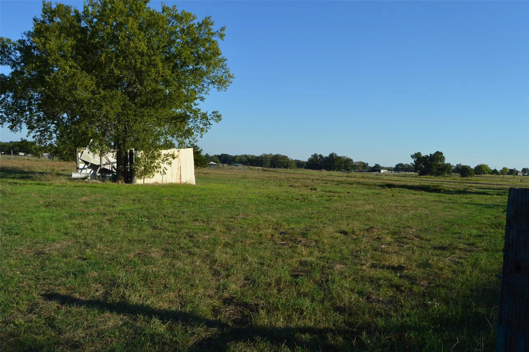 Pasture view with old shed in view