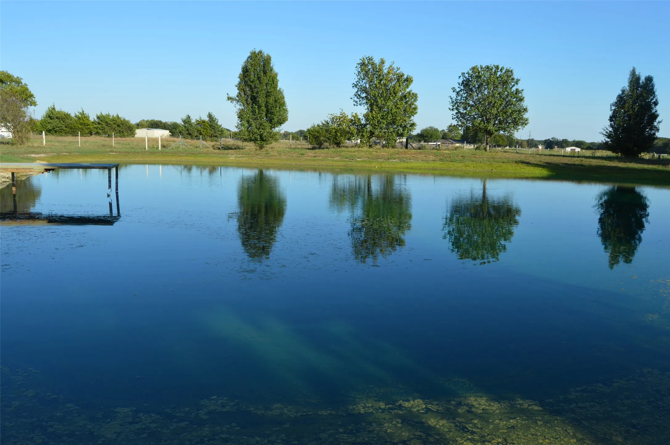 Pond view