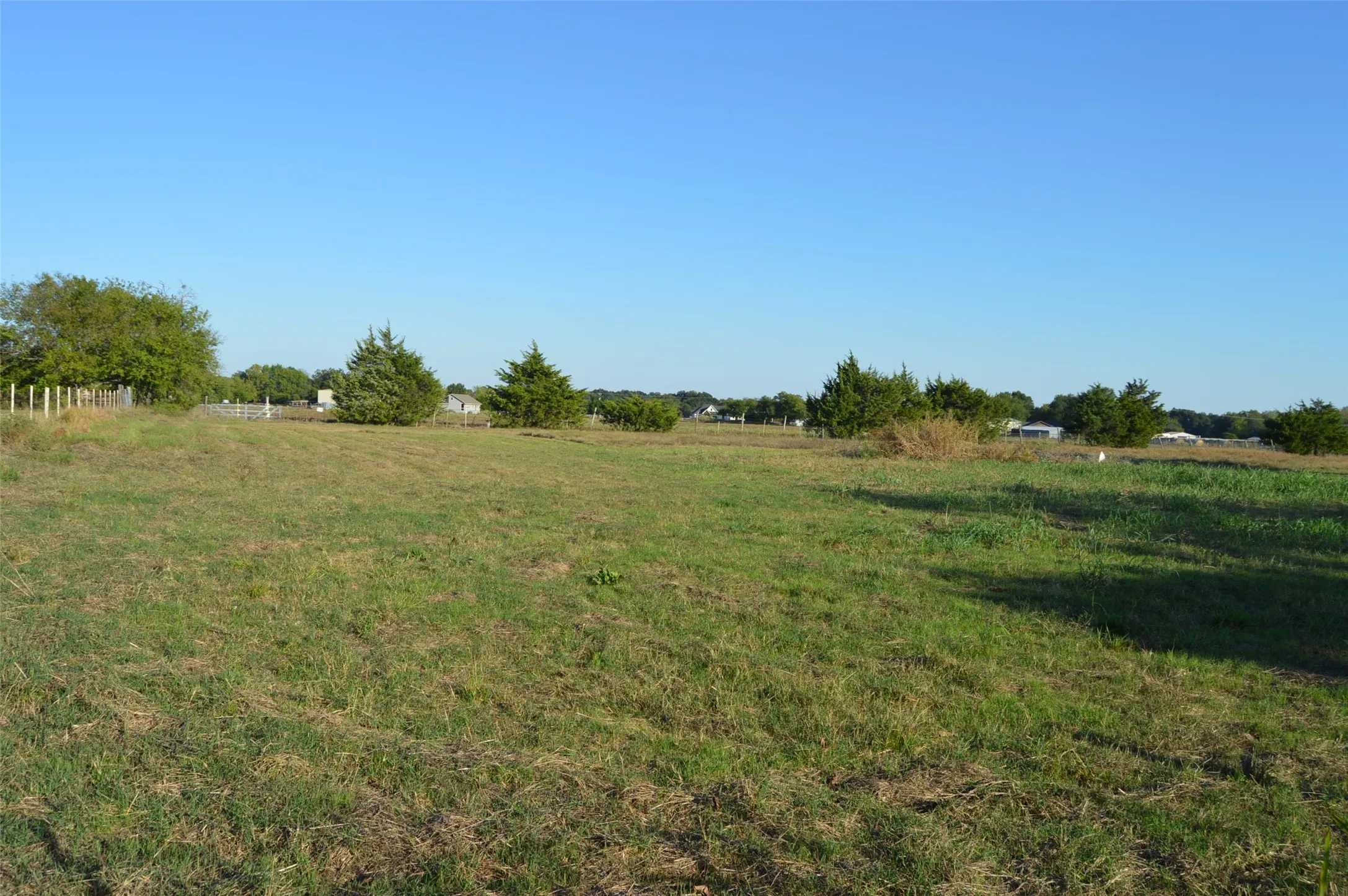 Pasture