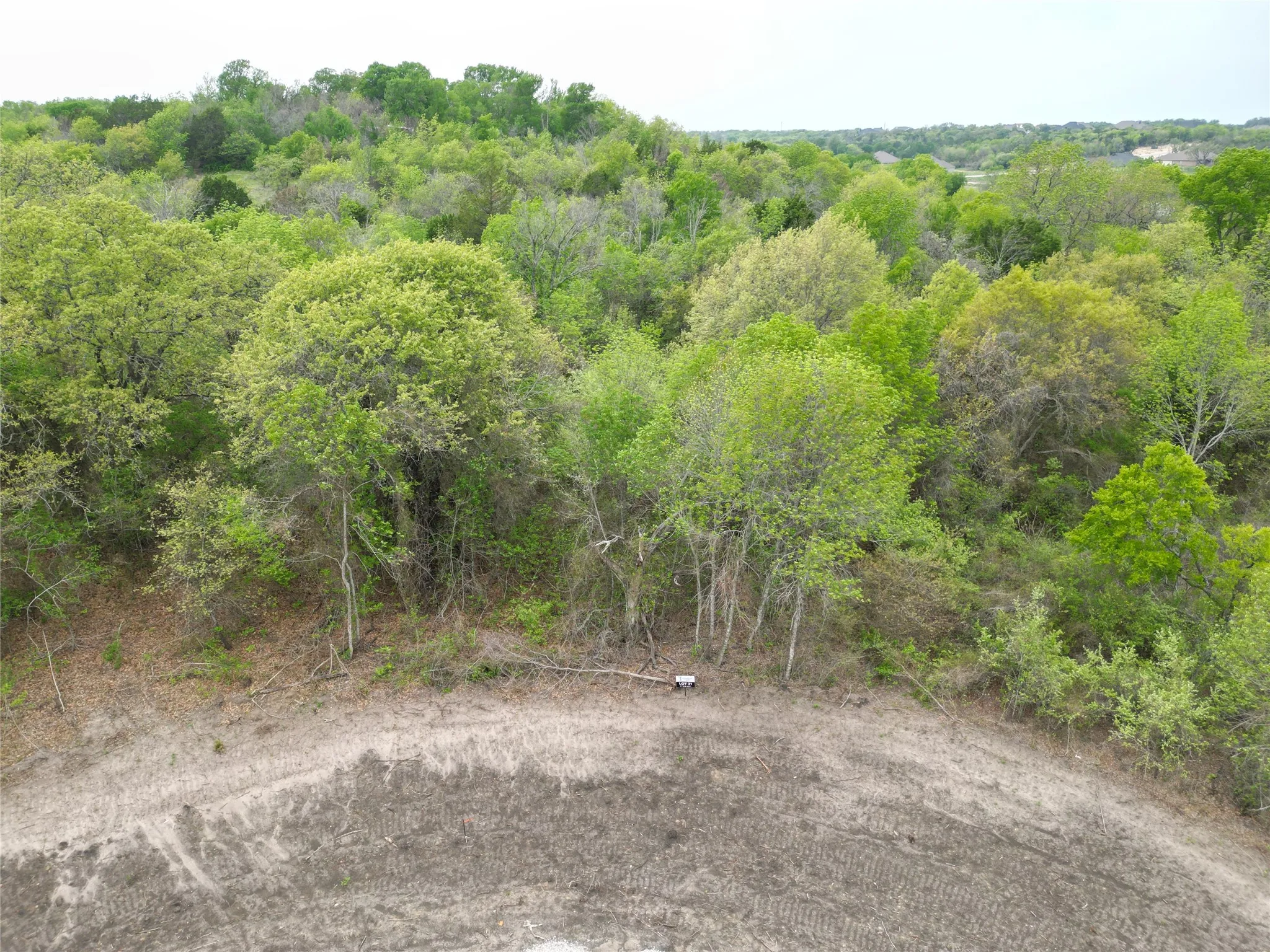 Wooded acreage with varied tree canopy