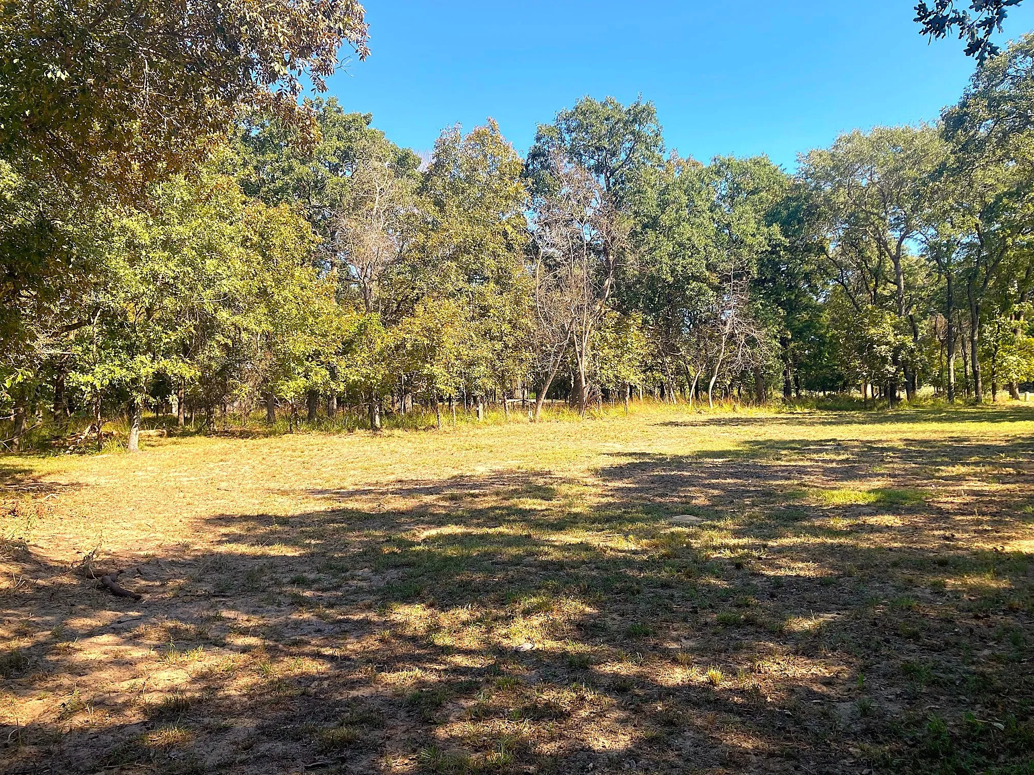 Improved Land For Sale in Henderson County , 8840 Timber Ridge, Larue, Texas 75770, 0, 0, Garage spaces, 0 Sqft, built in 0, mls#21408752, Real Estate Agent in Larue, Homes For Sale in Henderson county, Homes For Sale in Larue, Realtor in Larue Texas, Real Estate Brokerage Independent Realty Texas, Luminita Cordes Realtor
