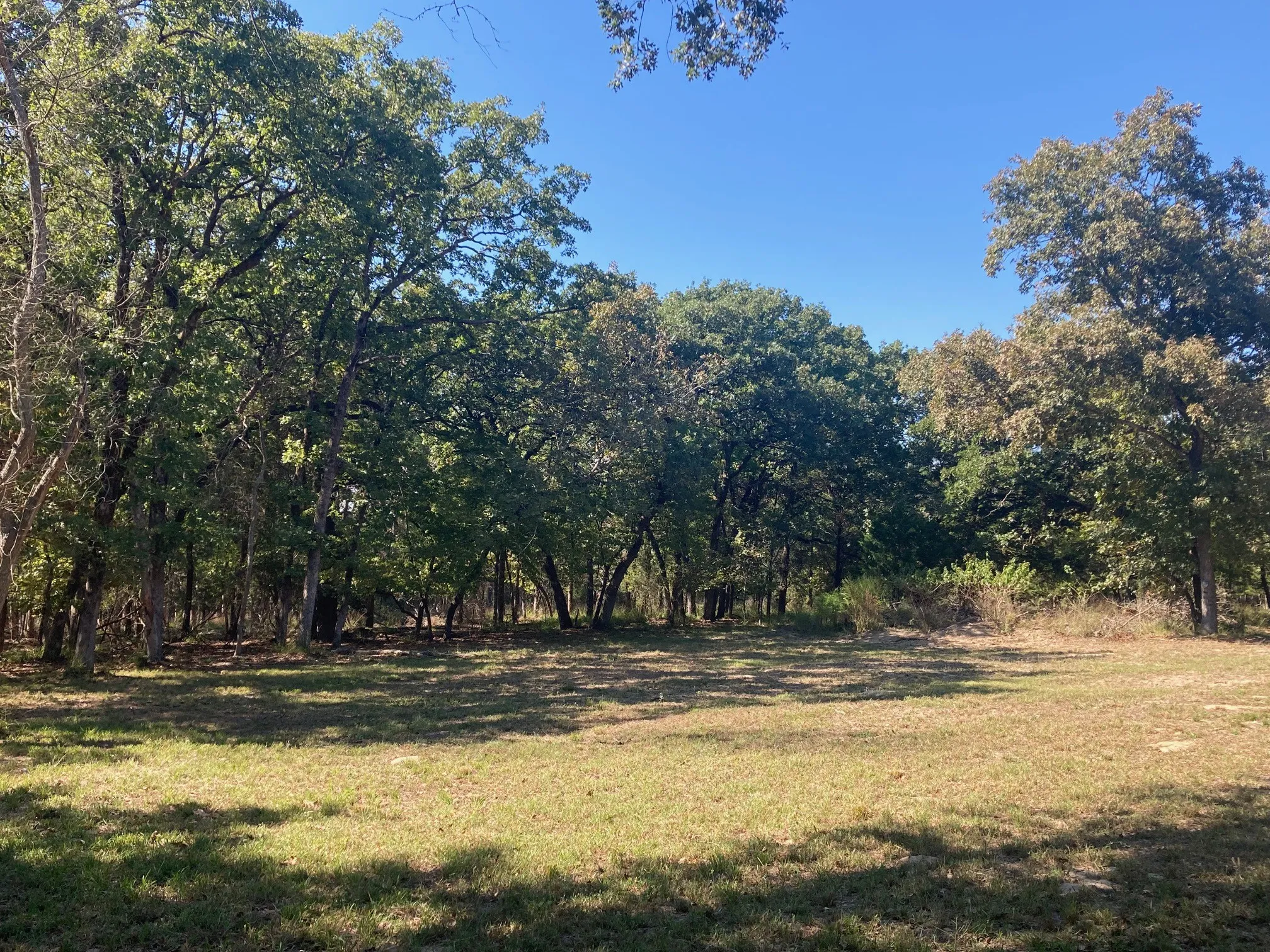Improved Land For Sale in Henderson County , 8840 Timber Ridge, Larue, Texas 75770, 0, 0, Garage spaces, 0 Sqft, built in 0, mls#21408752, Real Estate Agent in Larue, Homes For Sale in Henderson county, Homes For Sale in Larue, Realtor in Larue Texas, Real Estate Brokerage Independent Realty Texas, Luminita Cordes Realtor