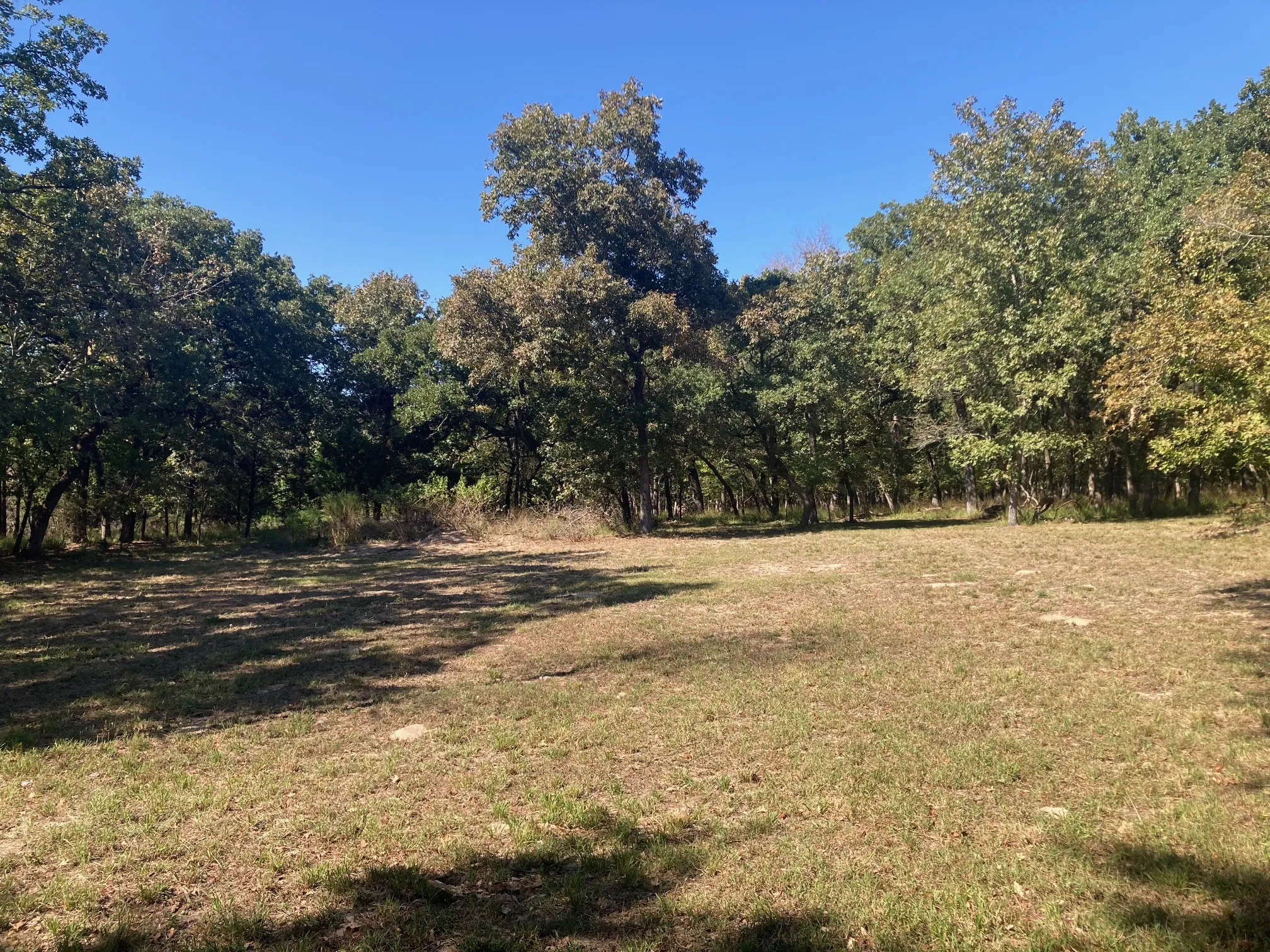 Improved Land For Sale in Henderson County , 8840 Timber Ridge, Larue, Texas 75770, 0, 0, Garage spaces, 0 Sqft, built in 0, mls#21408752, Real Estate Agent in Larue, Homes For Sale in Henderson county, Homes For Sale in Larue, Realtor in Larue Texas, Real Estate Brokerage Independent Realty Texas, Luminita Cordes Realtor