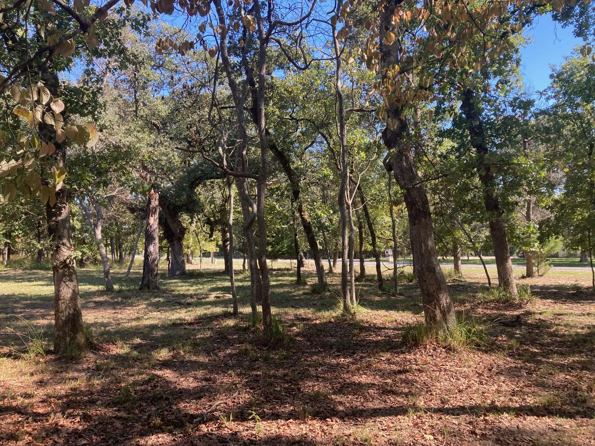 Improved Land For Sale in Henderson County , 8840 Timber Ridge, Larue, Texas 75770, 0, 0, Garage spaces, 0 Sqft, built in 0, mls#21408752, Real Estate Agent in Larue, Homes For Sale in Henderson county, Homes For Sale in Larue, Realtor in Larue Texas, Real Estate Brokerage Independent Realty Texas, Luminita Cordes Realtor