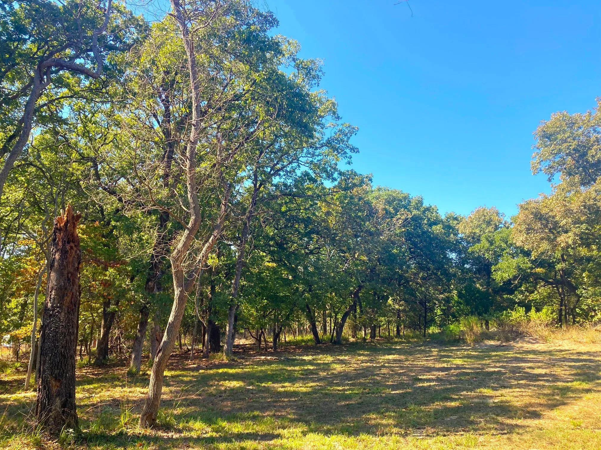 Improved Land For Sale in Henderson County , 8840 Timber Ridge, Larue, Texas 75770, 0, 0, Garage spaces, 0 Sqft, built in 0, mls#21408752, Real Estate Agent in Larue, Homes For Sale in Henderson county, Homes For Sale in Larue, Realtor in Larue Texas, Real Estate Brokerage Independent Realty Texas, Luminita Cordes Realtor