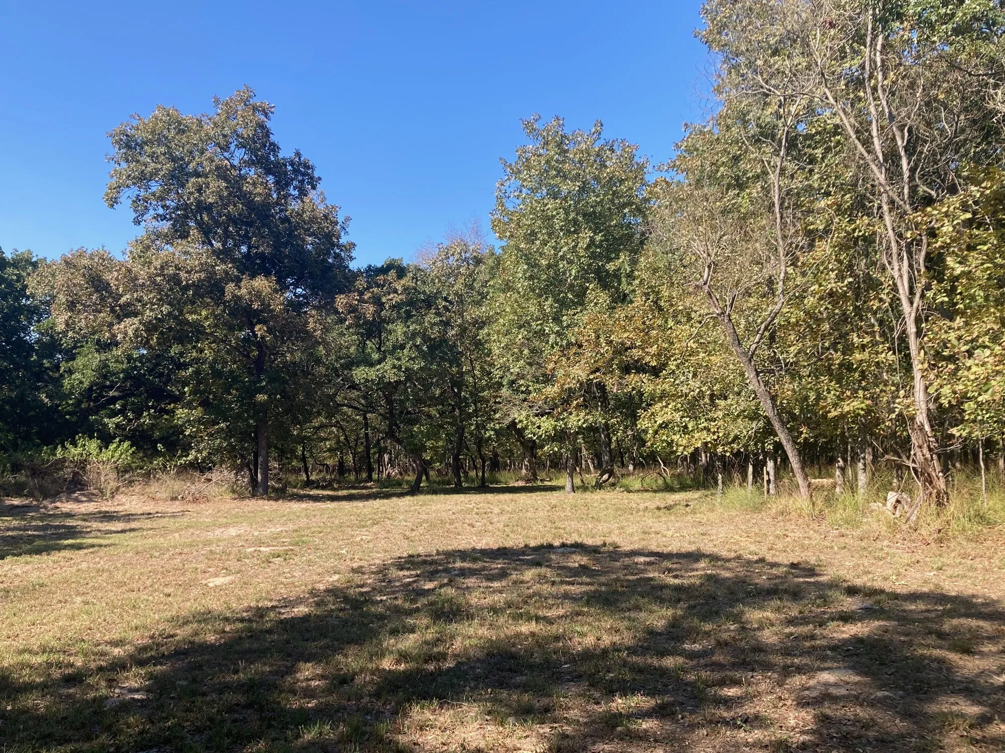 Improved Land For Sale in Henderson County , 8840 Timber Ridge, Larue, Texas 75770, 0, 0, Garage spaces, 0 Sqft, built in 0, mls#21408752, Real Estate Agent in Larue, Homes For Sale in Henderson county, Homes For Sale in Larue, Realtor in Larue Texas, Real Estate Brokerage Independent Realty Texas, Luminita Cordes Realtor