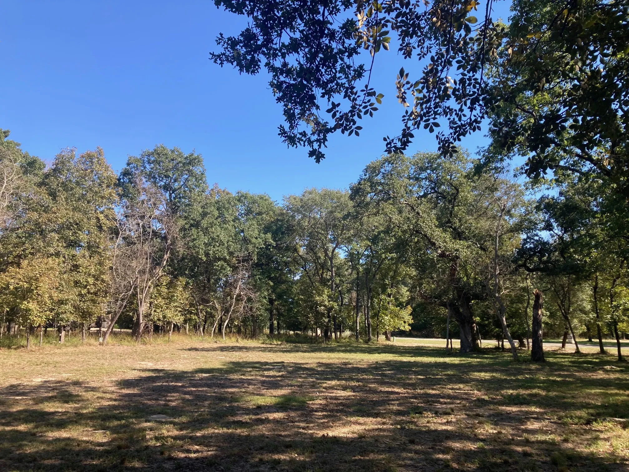 Improved Land For Sale in Henderson County , 8840 Timber Ridge, Larue, Texas 75770, 0, 0, Garage spaces, 0 Sqft, built in 0, mls#21408752, Real Estate Agent in Larue, Homes For Sale in Henderson county, Homes For Sale in Larue, Realtor in Larue Texas, Real Estate Brokerage Independent Realty Texas, Luminita Cordes Realtor