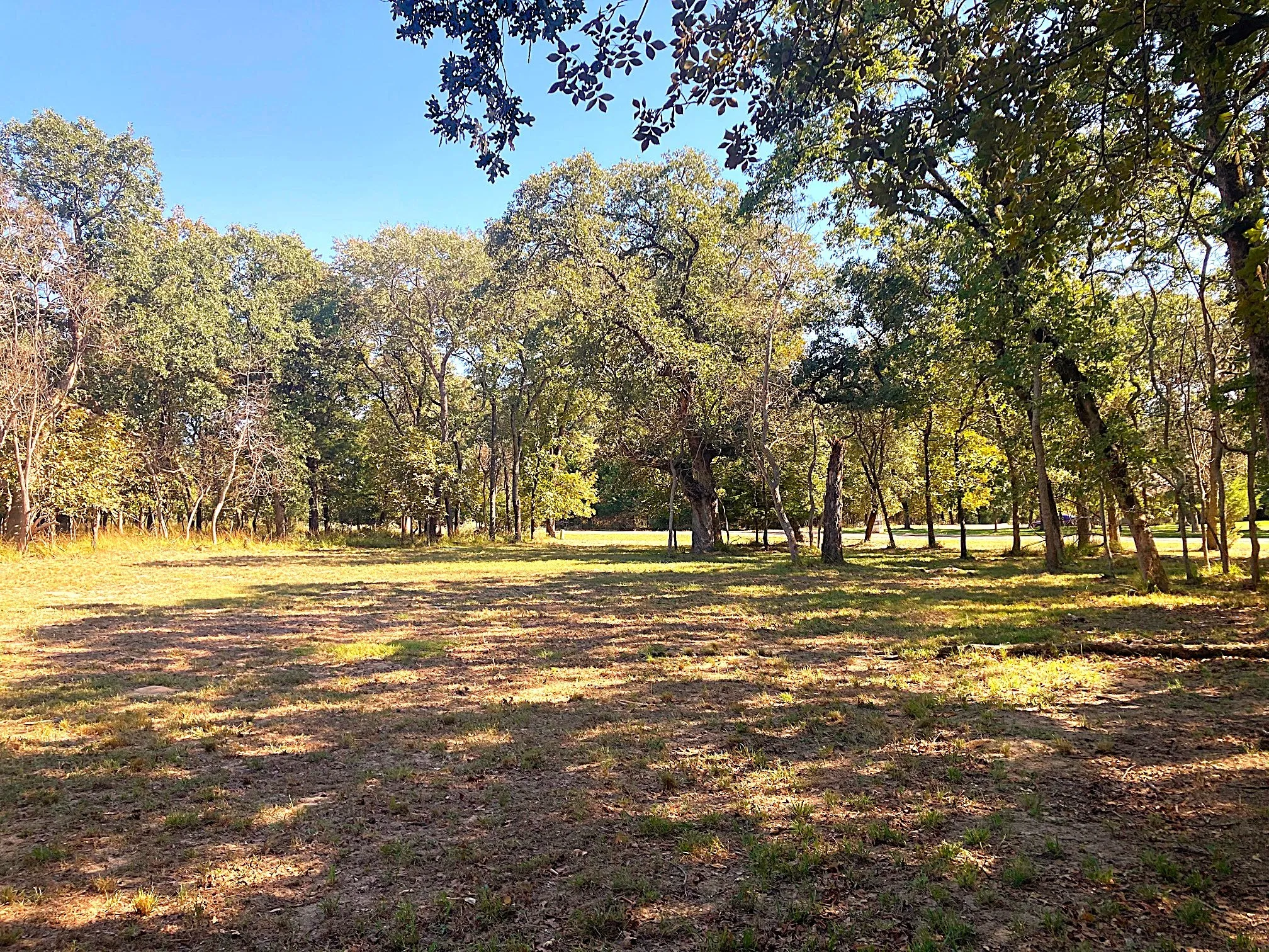 Improved Land For Sale in Henderson County , 8840 Timber Ridge, Larue, Texas 75770, 0, 0, Garage spaces, 0 Sqft, built in 0, mls#21408752, Real Estate Agent in Larue, Homes For Sale in Henderson county, Homes For Sale in Larue, Realtor in Larue Texas, Real Estate Brokerage Independent Realty Texas, Luminita Cordes Realtor