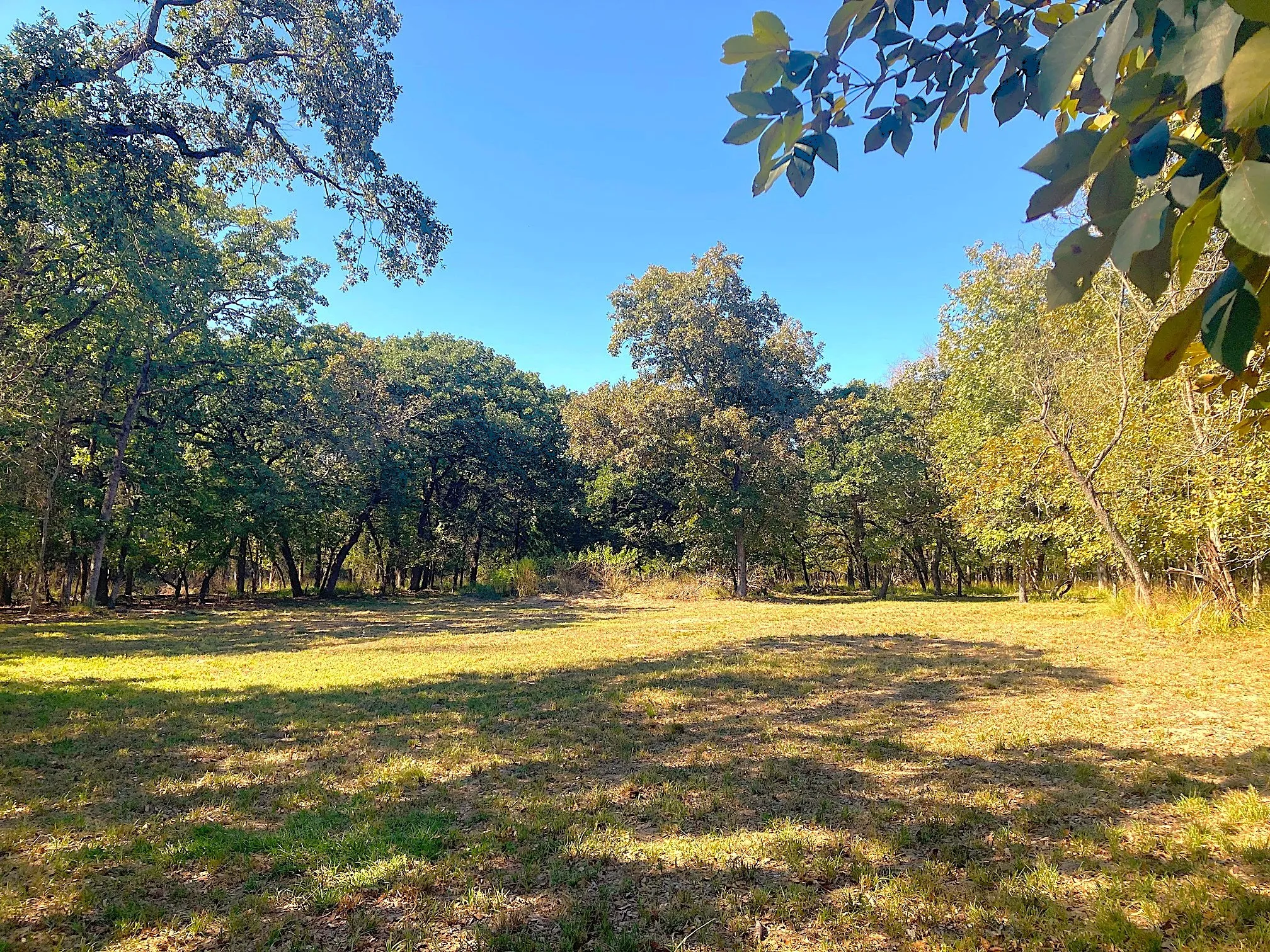 Improved Land For Sale in Henderson County , 8840 Timber Ridge, Larue, Texas 75770, 0, 0, Garage spaces, 0 Sqft, built in 0, mls#21408752, Real Estate Agent in Larue, Homes For Sale in Henderson county, Homes For Sale in Larue, Realtor in Larue Texas, Real Estate Brokerage Independent Realty Texas, Luminita Cordes Realtor