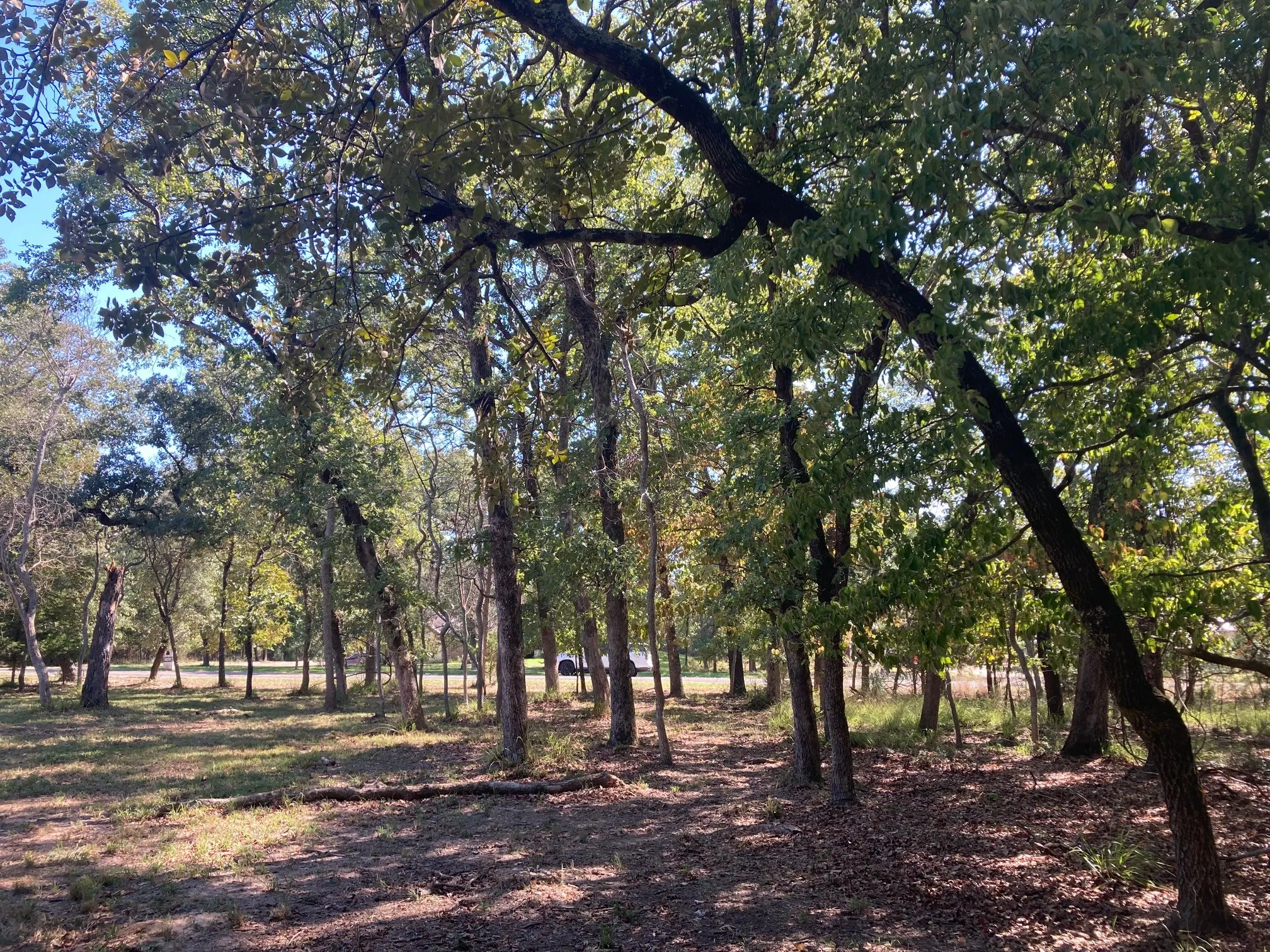 Improved Land For Sale in Henderson County , 8840 Timber Ridge, Larue, Texas 75770, 0, 0, Garage spaces, 0 Sqft, built in 0, mls#21408752, Real Estate Agent in Larue, Homes For Sale in Henderson county, Homes For Sale in Larue, Realtor in Larue Texas, Real Estate Brokerage Independent Realty Texas, Luminita Cordes Realtor