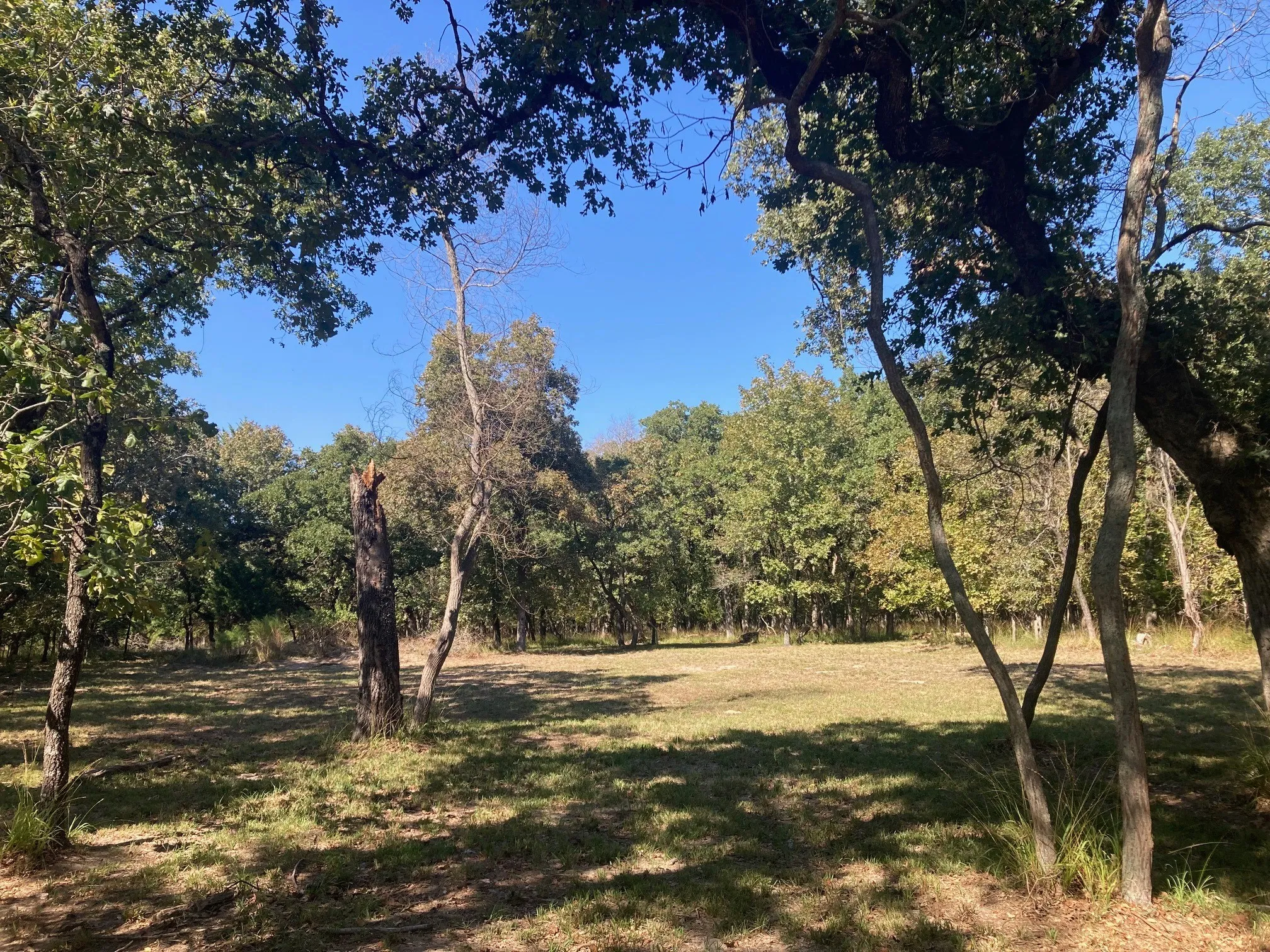 Improved Land For Sale in Henderson County , 8840 Timber Ridge, Larue, Texas 75770, 0, 0, Garage spaces, 0 Sqft, built in 0, mls#21408752, Real Estate Agent in Larue, Homes For Sale in Henderson county, Homes For Sale in Larue, Realtor in Larue Texas, Real Estate Brokerage Independent Realty Texas, Luminita Cordes Realtor