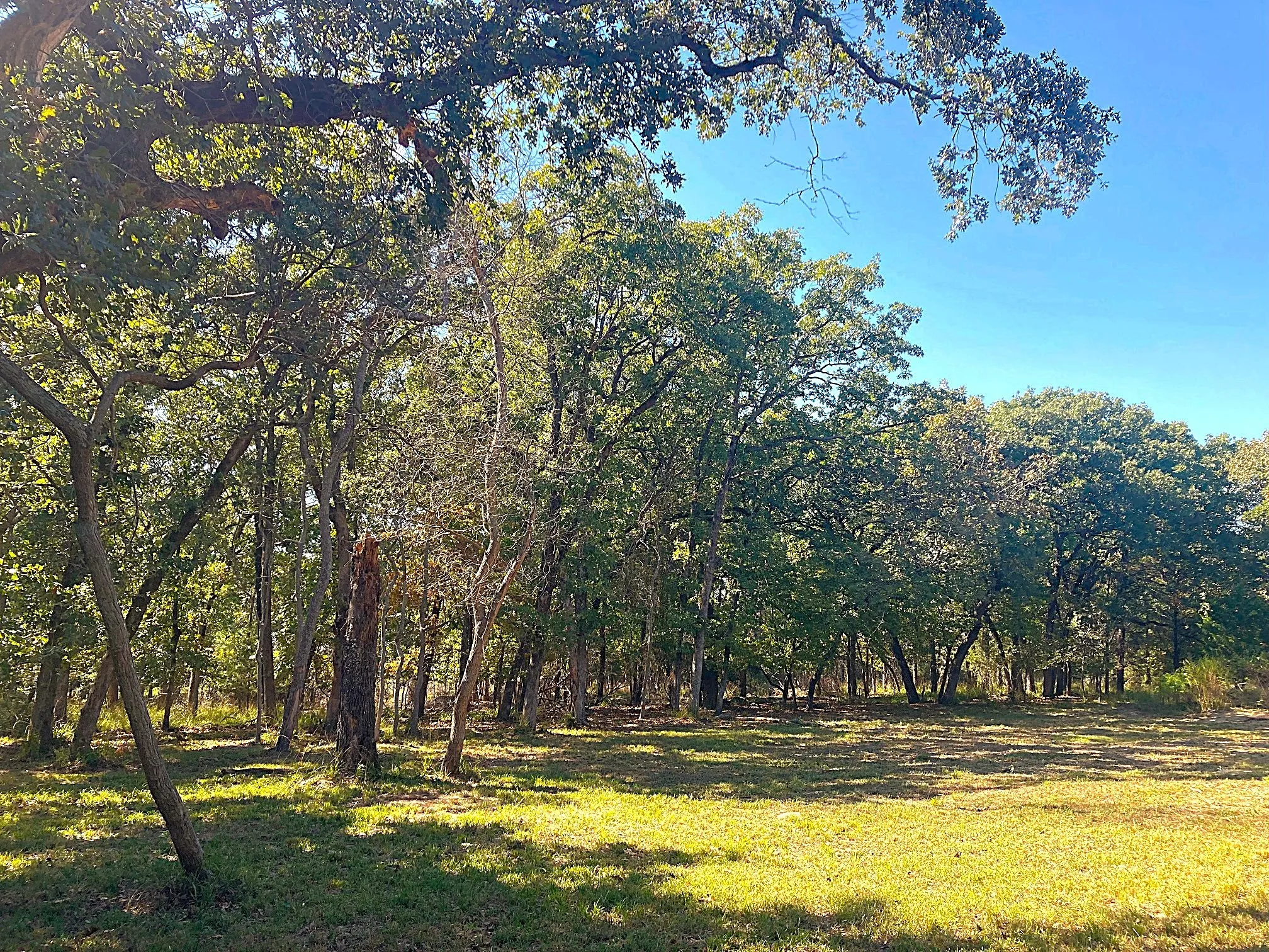 Improved Land For Sale in Henderson County , 8840 Timber Ridge, Larue, Texas 75770, 0, 0, Garage spaces, 0 Sqft, built in 0, mls#21408752, Real Estate Agent in Larue, Homes For Sale in Henderson county, Homes For Sale in Larue, Realtor in Larue Texas, Real Estate Brokerage Independent Realty Texas, Luminita Cordes Realtor