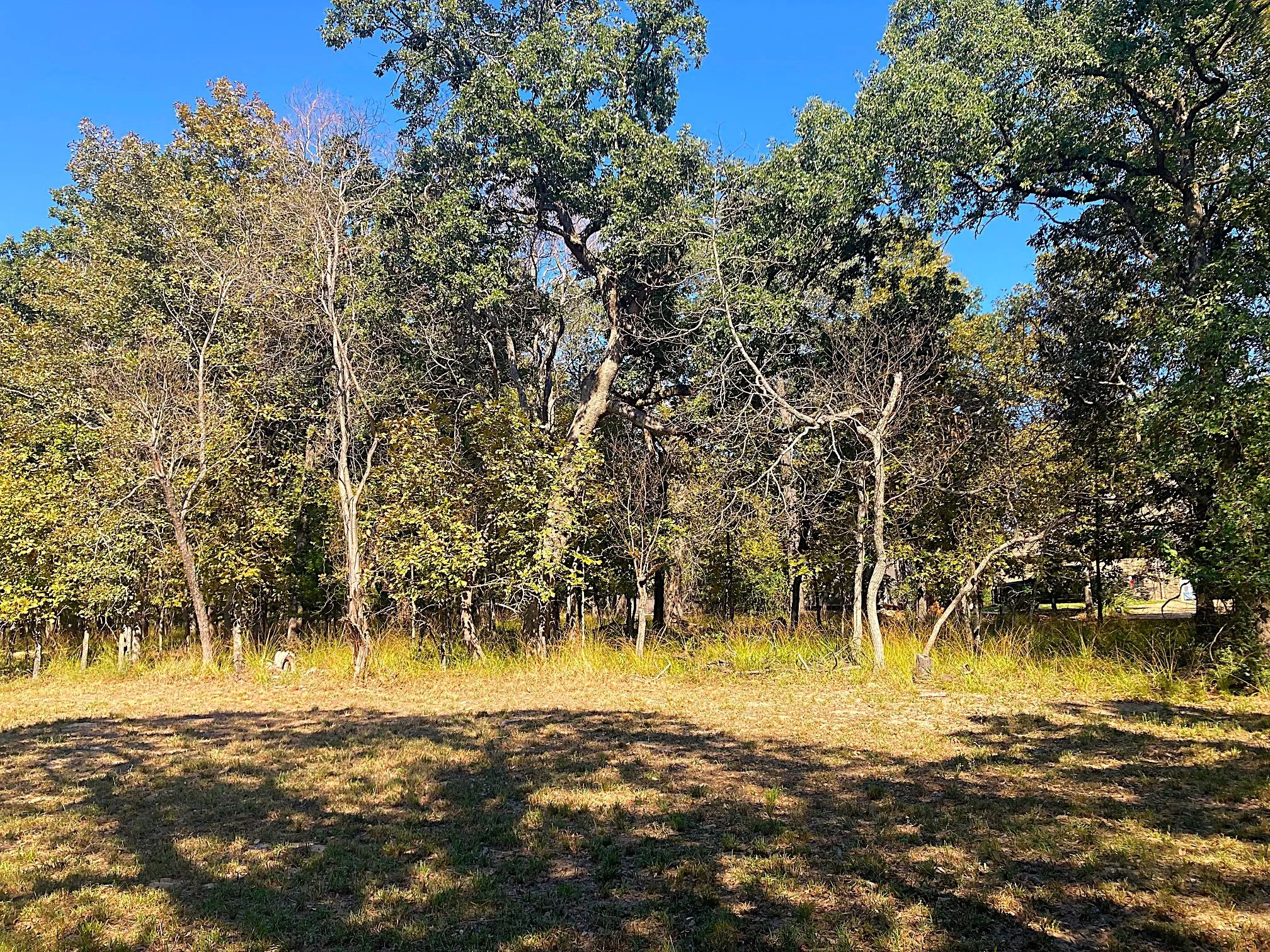 Improved Land For Sale in Henderson County , 8840 Timber Ridge, Larue, Texas 75770, 0, 0, Garage spaces, 0 Sqft, built in 0, mls#21408752, Real Estate Agent in Larue, Homes For Sale in Henderson county, Homes For Sale in Larue, Realtor in Larue Texas, Real Estate Brokerage Independent Realty Texas, Luminita Cordes Realtor