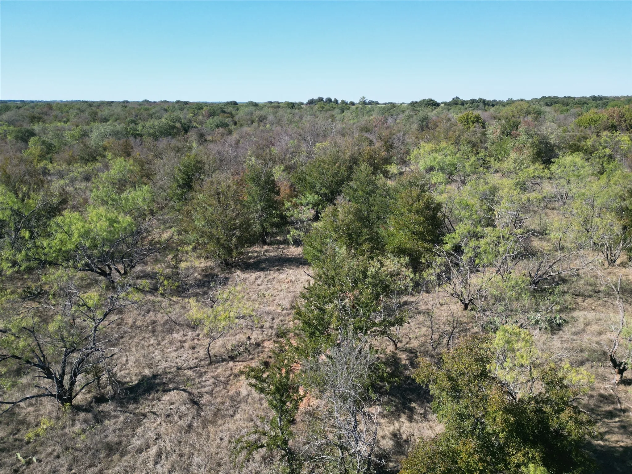 Improved Land For Sale in Comanche County , TBD CR 434 County Road 434, Dublin, Texas 76446, 0, 0, Garage spaces, 0 Sqft, built in 0, mls#21406129, Real Estate Agent in Dublin, Homes For Sale in Comanche county, Homes For Sale in Dublin, Realtor in Dublin Texas, Real Estate Brokerage Independent Realty Texas, Luminita Cordes Realtor