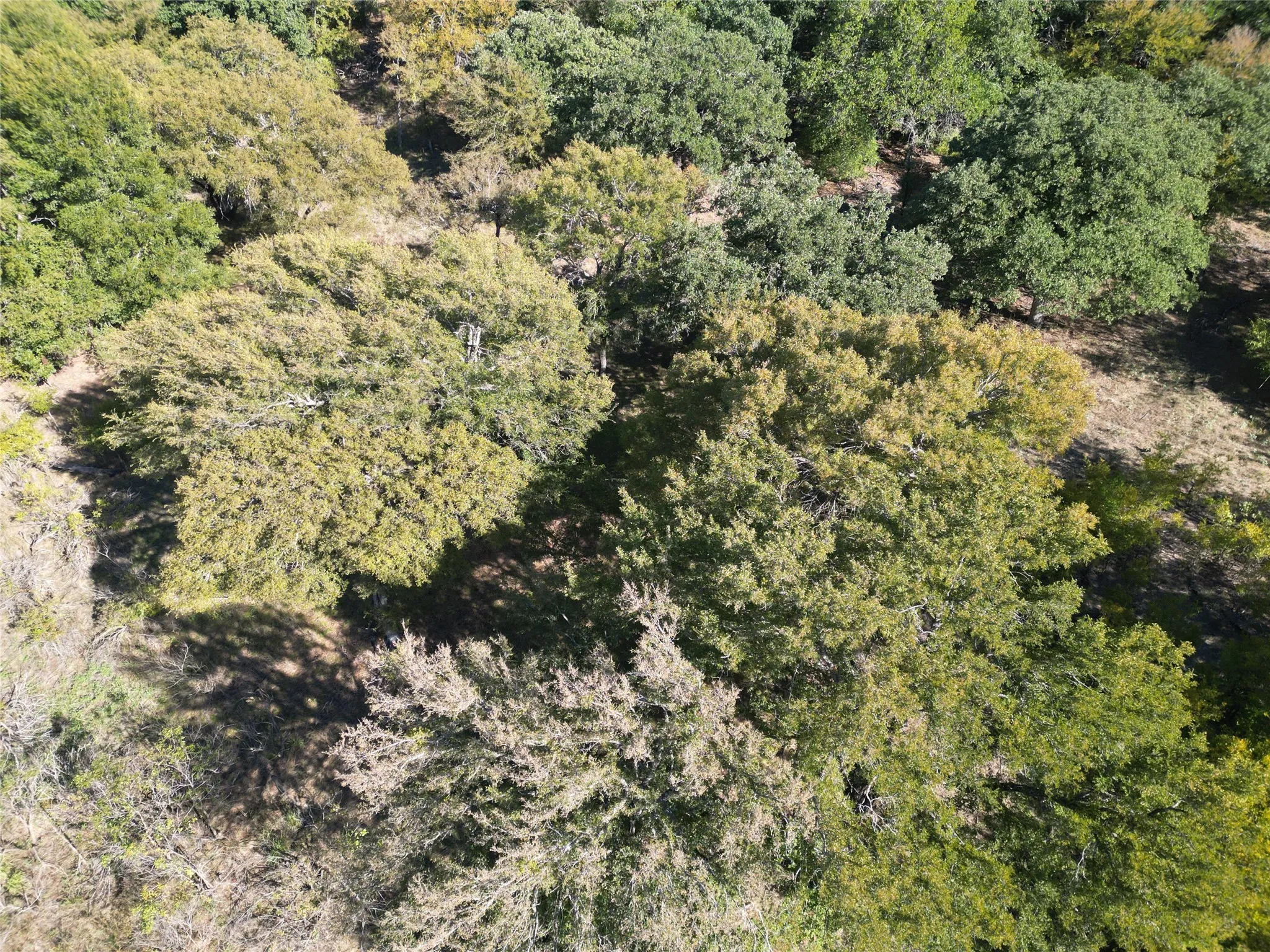 Improved Land For Sale in Comanche County , TBD CR 434 County Road 434, Dublin, Texas 76446, 0, 0, Garage spaces, 0 Sqft, built in 0, mls#21406129, Real Estate Agent in Dublin, Homes For Sale in Comanche county, Homes For Sale in Dublin, Realtor in Dublin Texas, Real Estate Brokerage Independent Realty Texas, Luminita Cordes Realtor