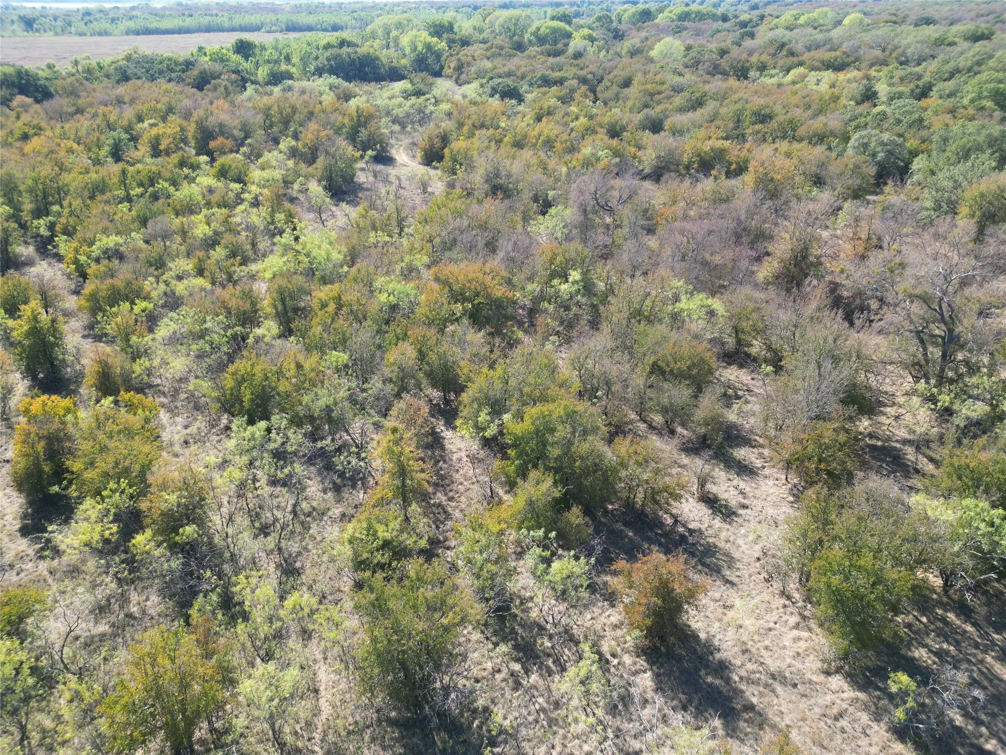 Improved Land For Sale in Comanche County , TBD CR 434 County Road 434, Dublin, Texas 76446, 0, 0, Garage spaces, 0 Sqft, built in 0, mls#21406129, Real Estate Agent in Dublin, Homes For Sale in Comanche county, Homes For Sale in Dublin, Realtor in Dublin Texas, Real Estate Brokerage Independent Realty Texas, Luminita Cordes Realtor
