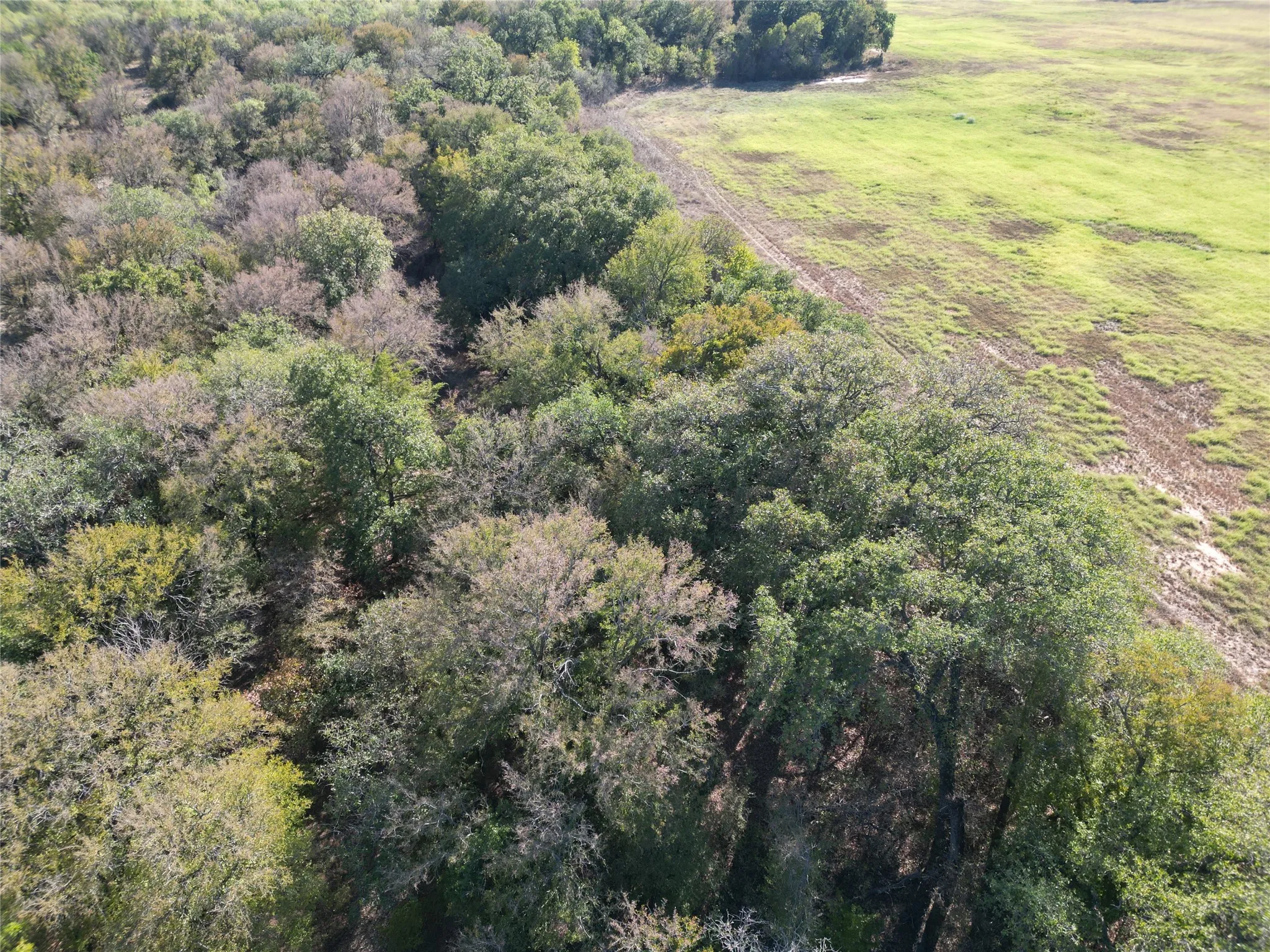 Improved Land For Sale in Comanche County , TBD CR 434 County Road 434, Dublin, Texas 76446, 0, 0, Garage spaces, 0 Sqft, built in 0, mls#21406129, Real Estate Agent in Dublin, Homes For Sale in Comanche county, Homes For Sale in Dublin, Realtor in Dublin Texas, Real Estate Brokerage Independent Realty Texas, Luminita Cordes Realtor