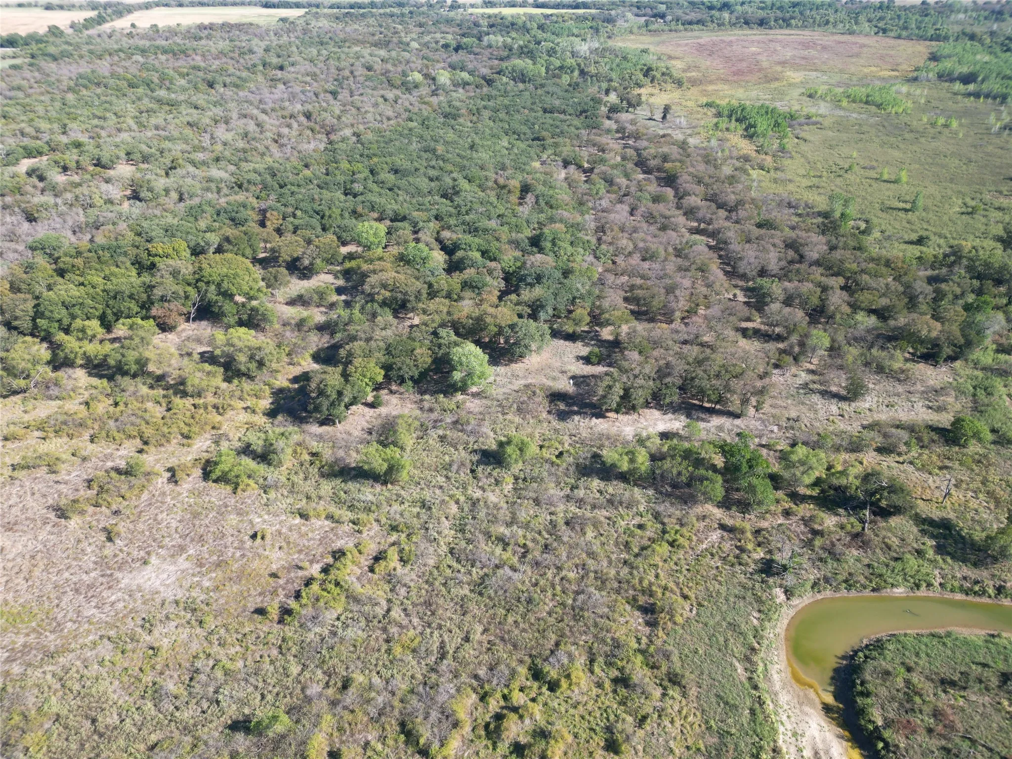 Improved Land For Sale in Comanche County , TBD CR 434 County Road 434, Dublin, Texas 76446, 0, 0, Garage spaces, 0 Sqft, built in 0, mls#21406129, Real Estate Agent in Dublin, Homes For Sale in Comanche county, Homes For Sale in Dublin, Realtor in Dublin Texas, Real Estate Brokerage Independent Realty Texas, Luminita Cordes Realtor