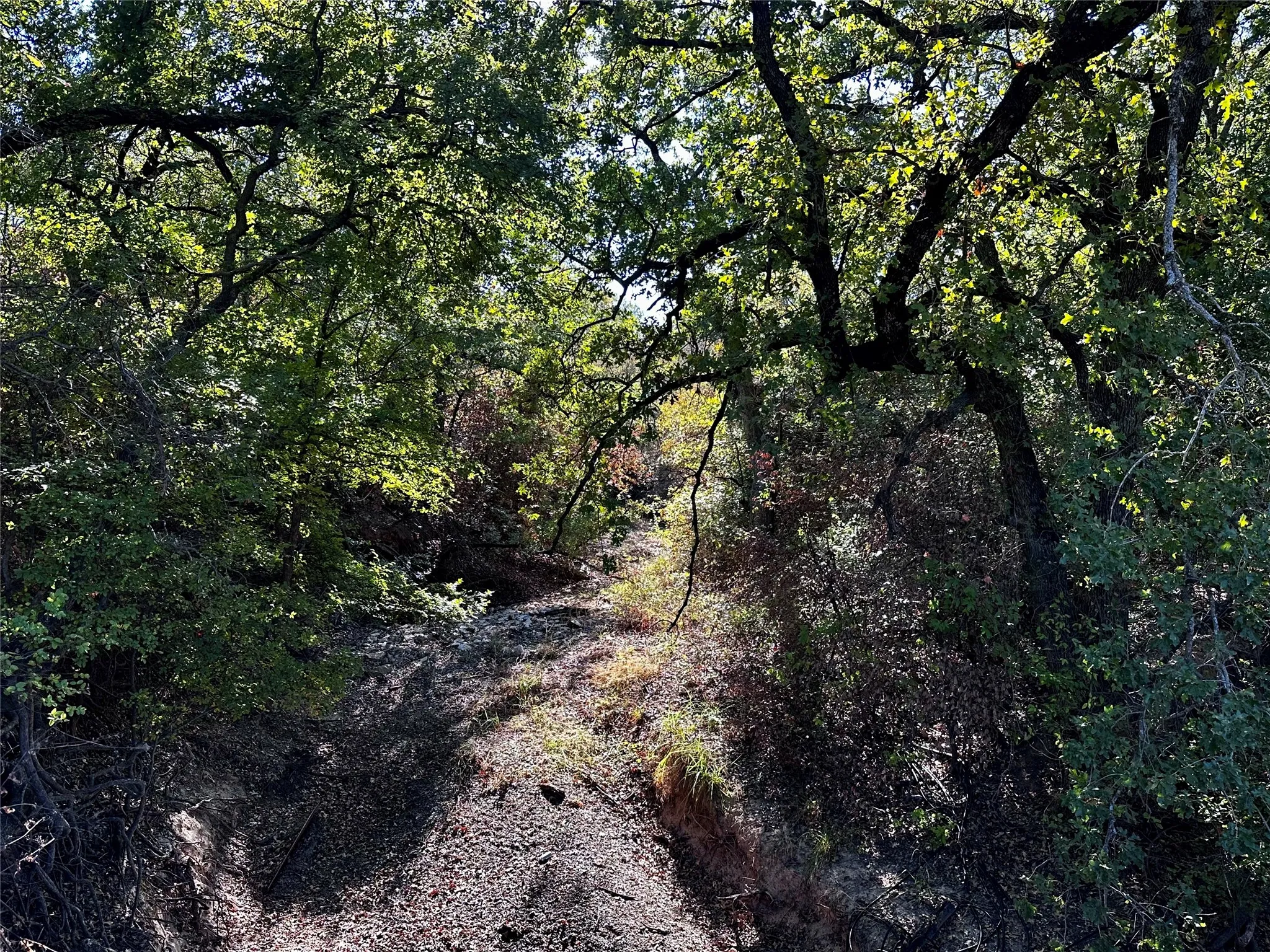 Improved Land For Sale in Comanche County , TBD CR 434 County Road 434, Dublin, Texas 76446, 0, 0, Garage spaces, 0 Sqft, built in 0, mls#21406129, Real Estate Agent in Dublin, Homes For Sale in Comanche county, Homes For Sale in Dublin, Realtor in Dublin Texas, Real Estate Brokerage Independent Realty Texas, Luminita Cordes Realtor