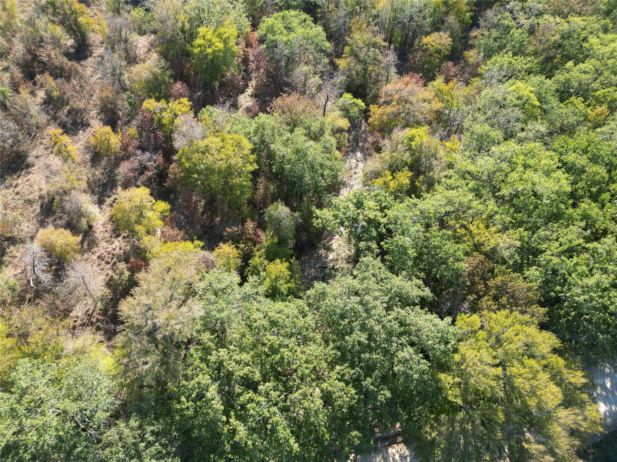 Improved Land For Sale in Comanche County , TBD CR 434 County Road 434, Dublin, Texas 76446, 0, 0, Garage spaces, 0 Sqft, built in 0, mls#21406129, Real Estate Agent in Dublin, Homes For Sale in Comanche county, Homes For Sale in Dublin, Realtor in Dublin Texas, Real Estate Brokerage Independent Realty Texas, Luminita Cordes Realtor
