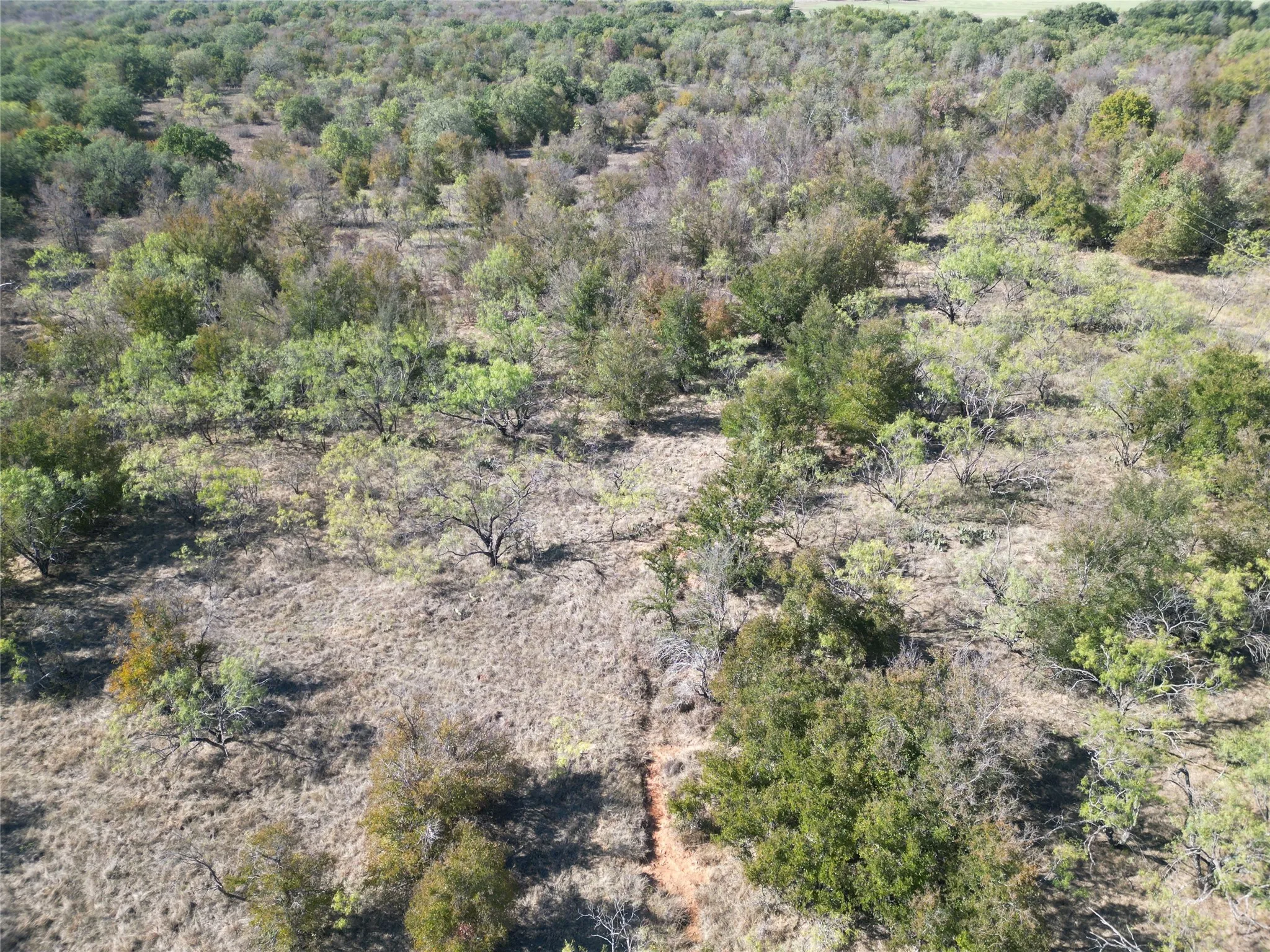 Improved Land For Sale in Comanche County , TBD CR 434 County Road 434, Dublin, Texas 76446, 0, 0, Garage spaces, 0 Sqft, built in 0, mls#21406129, Real Estate Agent in Dublin, Homes For Sale in Comanche county, Homes For Sale in Dublin, Realtor in Dublin Texas, Real Estate Brokerage Independent Realty Texas, Luminita Cordes Realtor