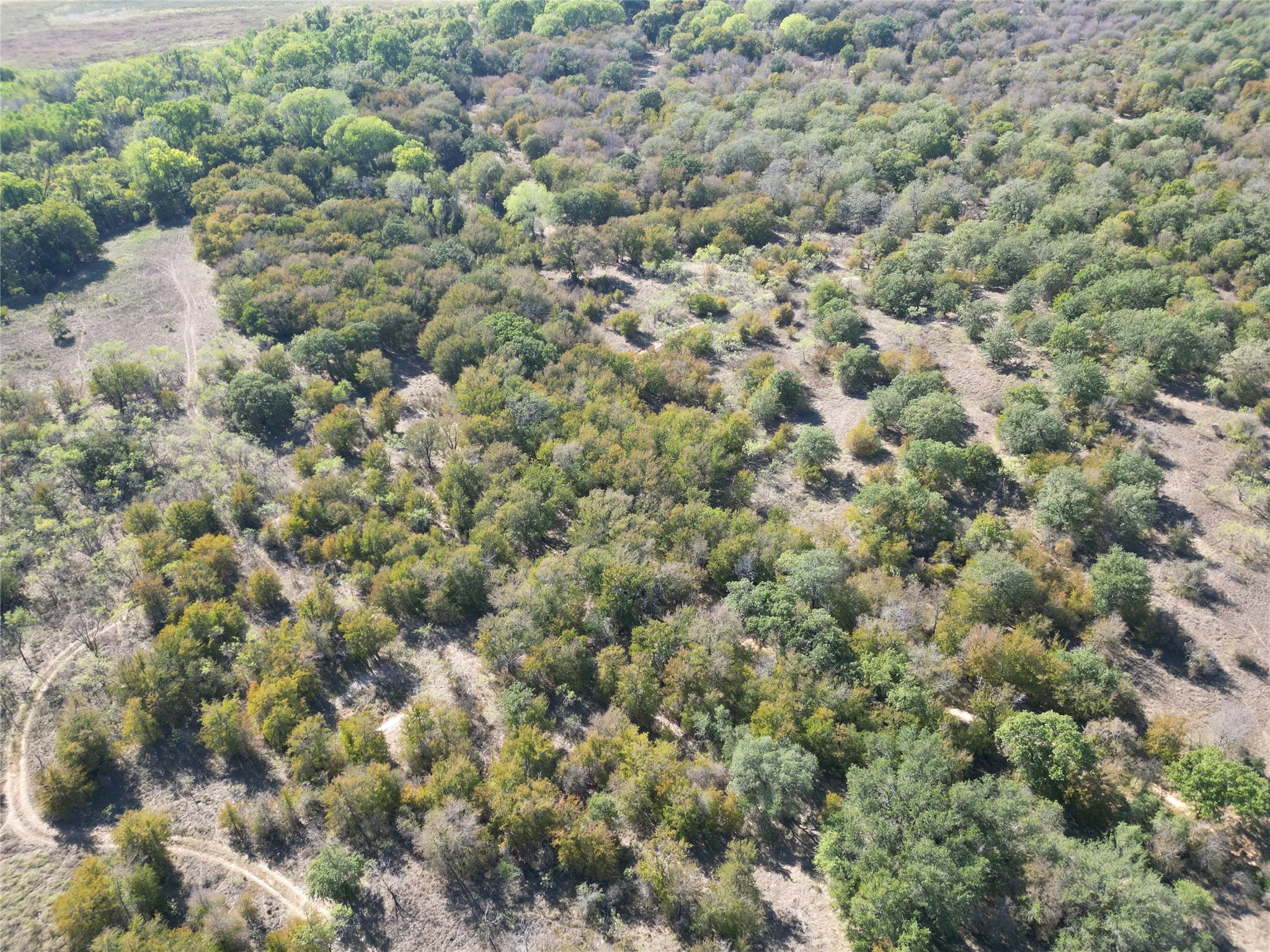 Improved Land For Sale in Comanche County , TBD CR 434 County Road 434, Dublin, Texas 76446, 0, 0, Garage spaces, 0 Sqft, built in 0, mls#21406129, Real Estate Agent in Dublin, Homes For Sale in Comanche county, Homes For Sale in Dublin, Realtor in Dublin Texas, Real Estate Brokerage Independent Realty Texas, Luminita Cordes Realtor