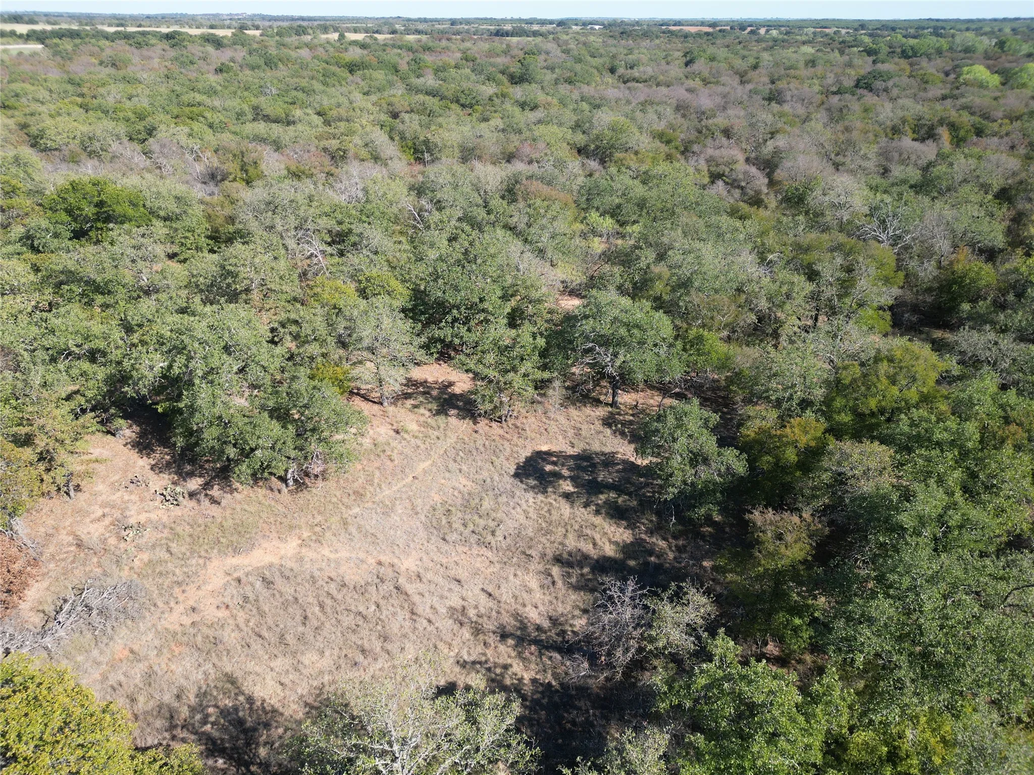 Improved Land For Sale in Comanche County , TBD CR 434 County Road 434, Dublin, Texas 76446, 0, 0, Garage spaces, 0 Sqft, built in 0, mls#21406129, Real Estate Agent in Dublin, Homes For Sale in Comanche county, Homes For Sale in Dublin, Realtor in Dublin Texas, Real Estate Brokerage Independent Realty Texas, Luminita Cordes Realtor