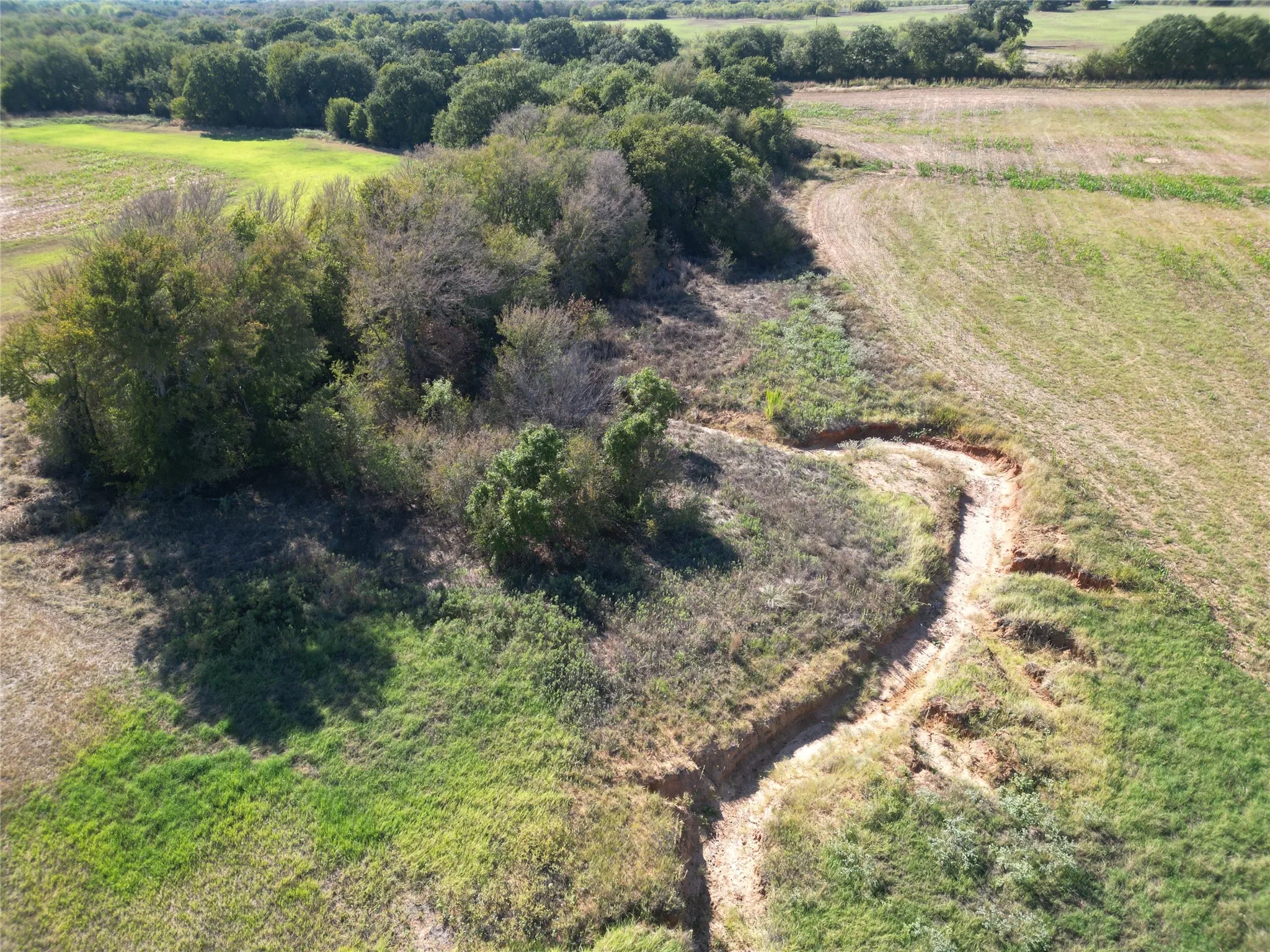 Improved Land For Sale in Comanche County , TBD CR 434 County Road 434, Dublin, Texas 76446, 0, 0, Garage spaces, 0 Sqft, built in 0, mls#21406129, Real Estate Agent in Dublin, Homes For Sale in Comanche county, Homes For Sale in Dublin, Realtor in Dublin Texas, Real Estate Brokerage Independent Realty Texas, Luminita Cordes Realtor