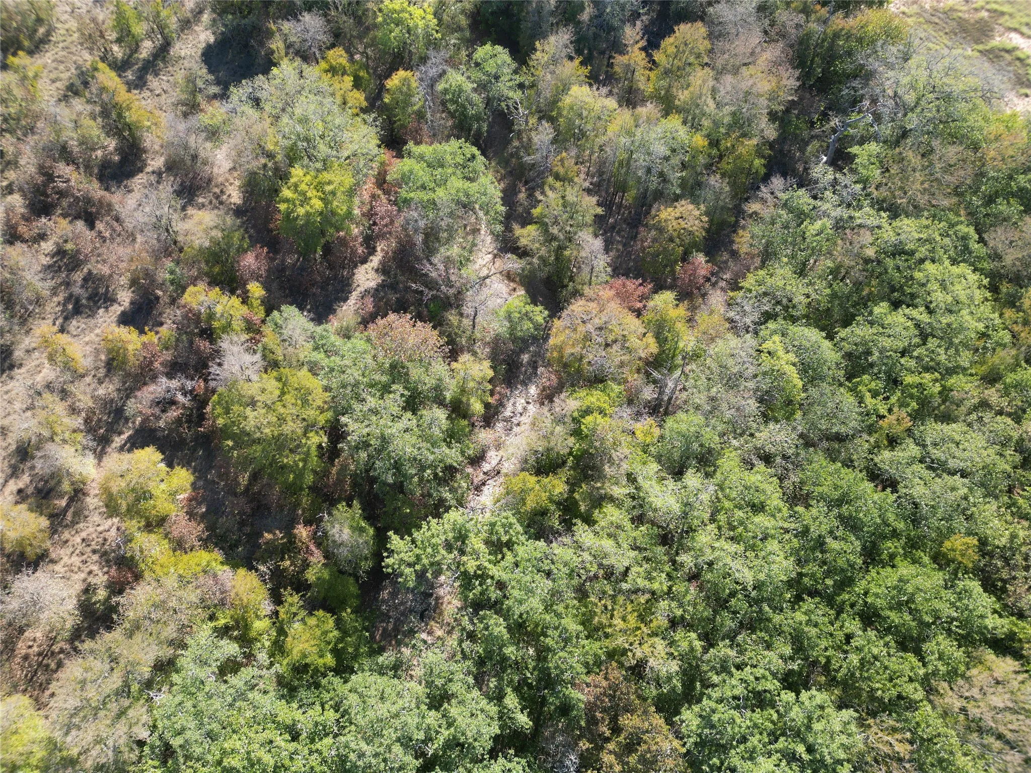 Improved Land For Sale in Comanche County , TBD CR 434 County Road 434, Dublin, Texas 76446, 0, 0, Garage spaces, 0 Sqft, built in 0, mls#21406129, Real Estate Agent in Dublin, Homes For Sale in Comanche county, Homes For Sale in Dublin, Realtor in Dublin Texas, Real Estate Brokerage Independent Realty Texas, Luminita Cordes Realtor