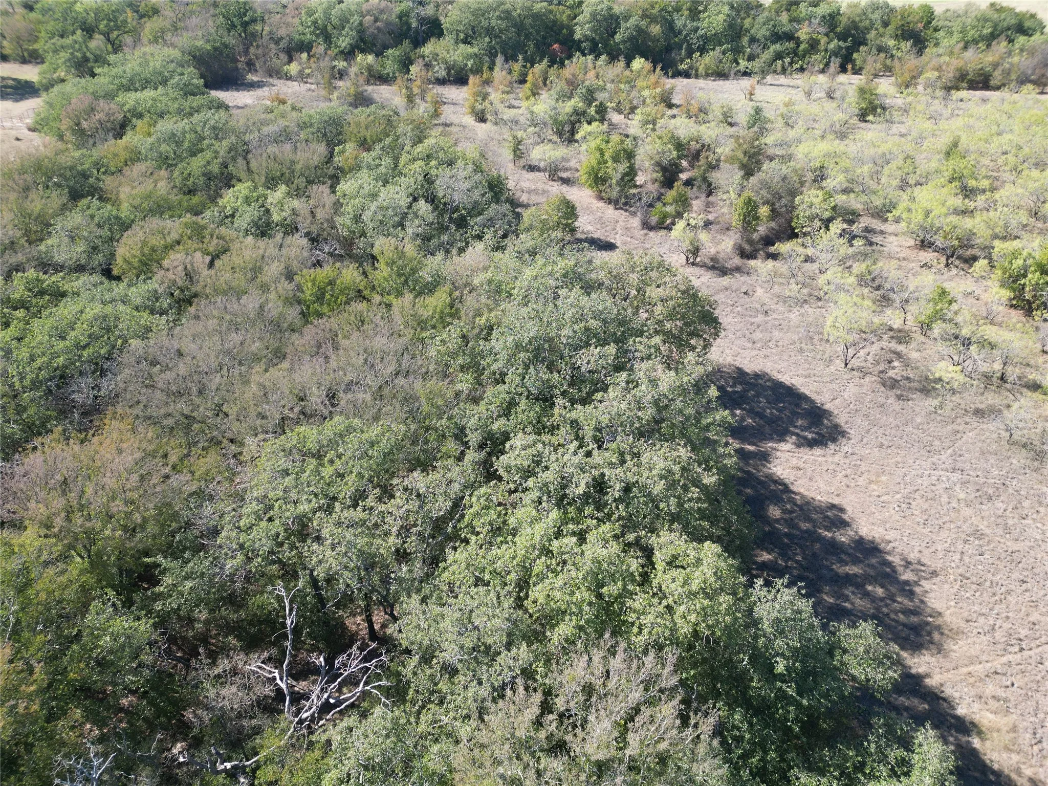 Improved Land For Sale in Comanche County , TBD CR 434 County Road 434, Dublin, Texas 76446, 0, 0, Garage spaces, 0 Sqft, built in 0, mls#21406129, Real Estate Agent in Dublin, Homes For Sale in Comanche county, Homes For Sale in Dublin, Realtor in Dublin Texas, Real Estate Brokerage Independent Realty Texas, Luminita Cordes Realtor