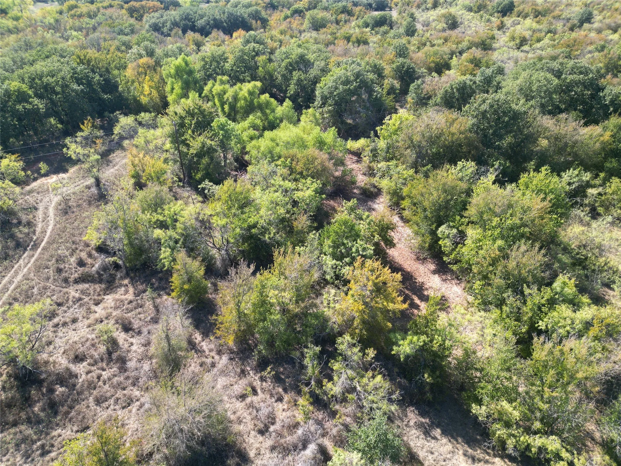 Improved Land For Sale in Comanche County , TBD CR 434 County Road 434, Dublin, Texas 76446, 0, 0, Garage spaces, 0 Sqft, built in 0, mls#21406129, Real Estate Agent in Dublin, Homes For Sale in Comanche county, Homes For Sale in Dublin, Realtor in Dublin Texas, Real Estate Brokerage Independent Realty Texas, Luminita Cordes Realtor