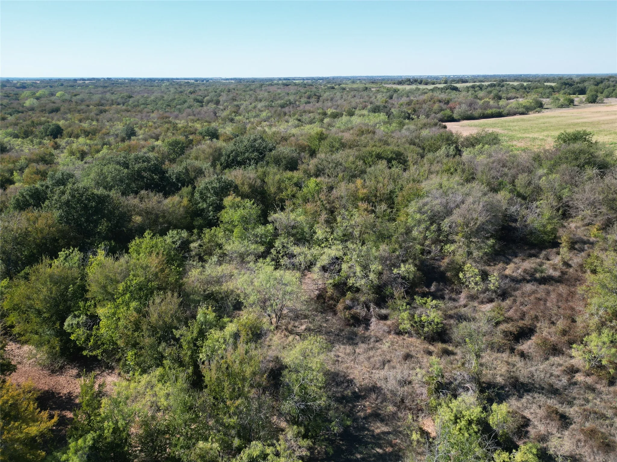 Improved Land For Sale in Comanche County , TBD CR 434 County Road 434, Dublin, Texas 76446, 0, 0, Garage spaces, 0 Sqft, built in 0, mls#21406129, Real Estate Agent in Dublin, Homes For Sale in Comanche county, Homes For Sale in Dublin, Realtor in Dublin Texas, Real Estate Brokerage Independent Realty Texas, Luminita Cordes Realtor