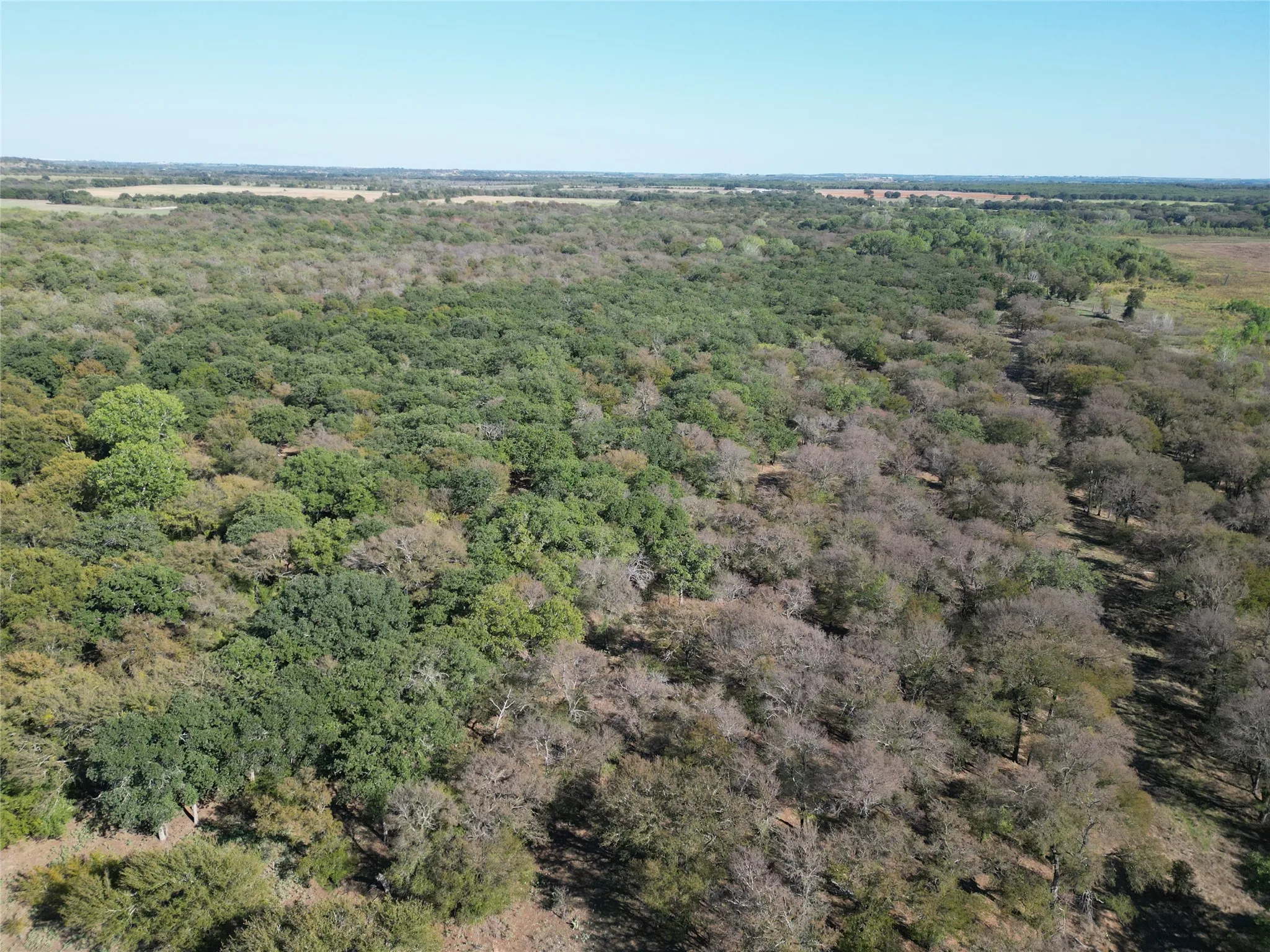 Improved Land For Sale in Comanche County , TBD CR 434 County Road 434, Dublin, Texas 76446, 0, 0, Garage spaces, 0 Sqft, built in 0, mls#21406129, Real Estate Agent in Dublin, Homes For Sale in Comanche county, Homes For Sale in Dublin, Realtor in Dublin Texas, Real Estate Brokerage Independent Realty Texas, Luminita Cordes Realtor