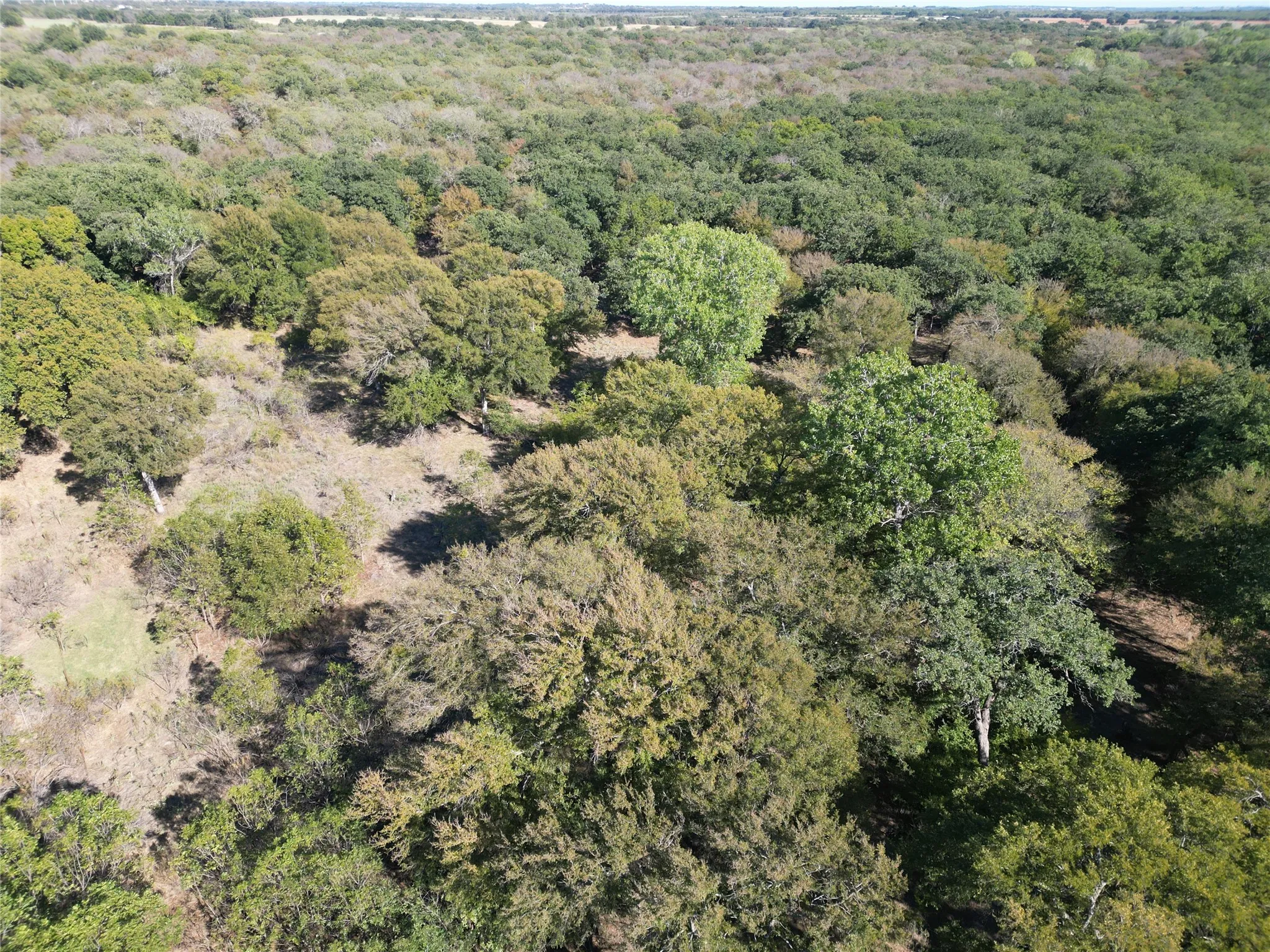 Improved Land For Sale in Comanche County , TBD CR 434 County Road 434, Dublin, Texas 76446, 0, 0, Garage spaces, 0 Sqft, built in 0, mls#21406129, Real Estate Agent in Dublin, Homes For Sale in Comanche county, Homes For Sale in Dublin, Realtor in Dublin Texas, Real Estate Brokerage Independent Realty Texas, Luminita Cordes Realtor