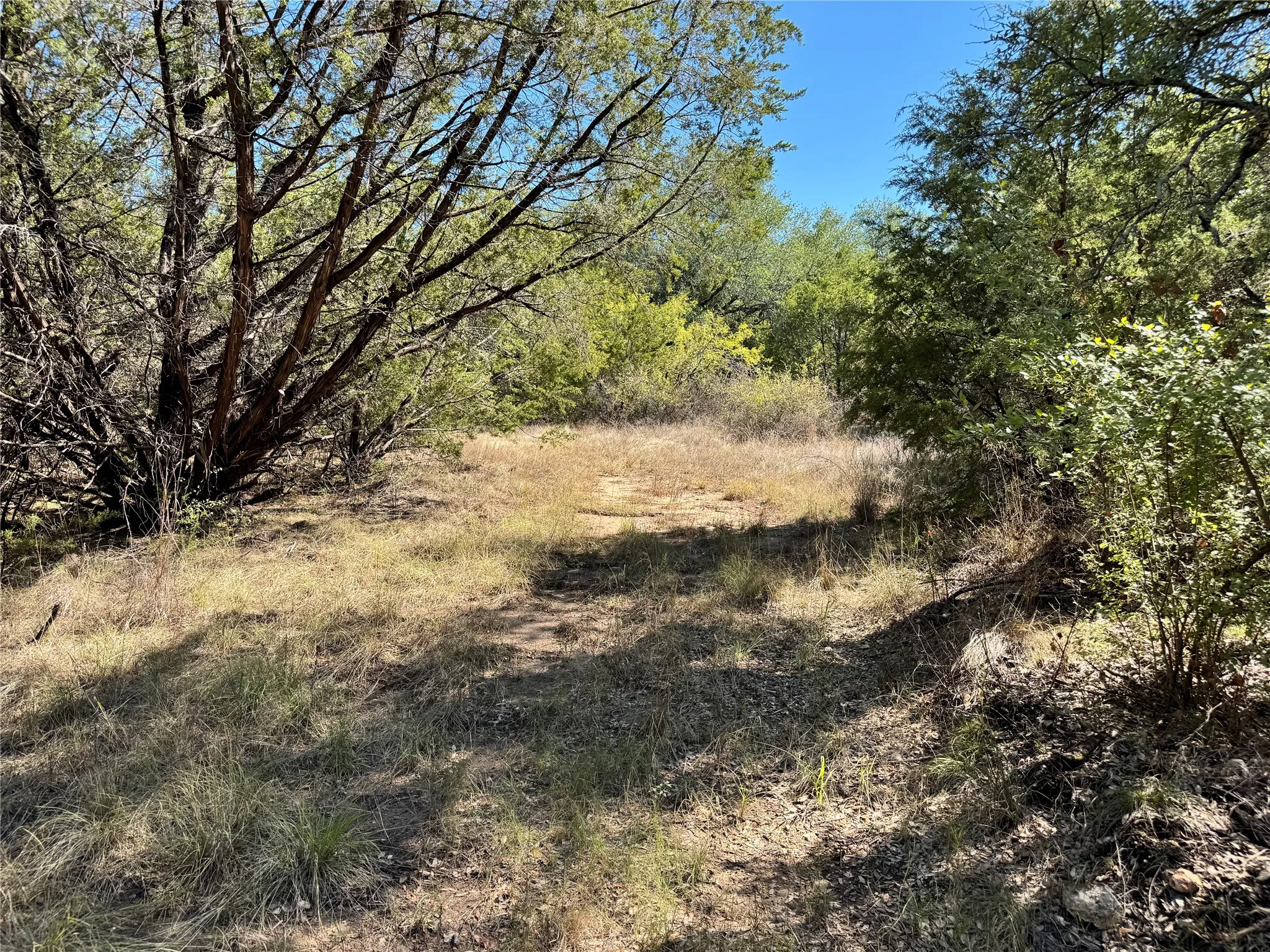 Unimproved Land For Sale in Hood County , 3707 Bob White Court, Granbury, Texas 76049, 0, 0, Garage spaces, 0 Sqft, built in 0, mls#21409209, Real Estate Agent in Granbury, Homes For Sale in Hood county, Homes For Sale in Granbury, Realtor in Granbury Texas, Real Estate Brokerage Independent Realty Texas, Luminita Cordes Realtor